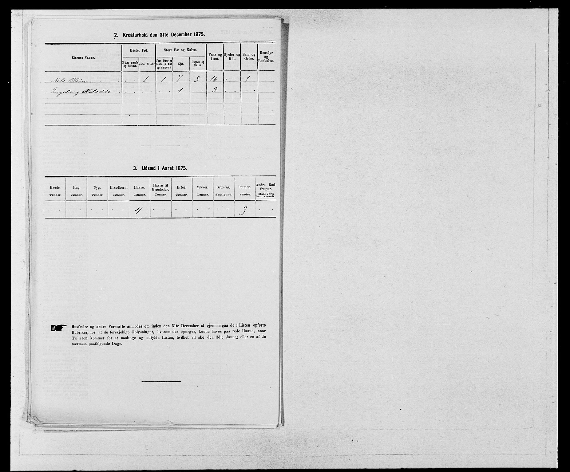 SAB, 1875 census for 1226P Strandebarm, 1875, p. 1021