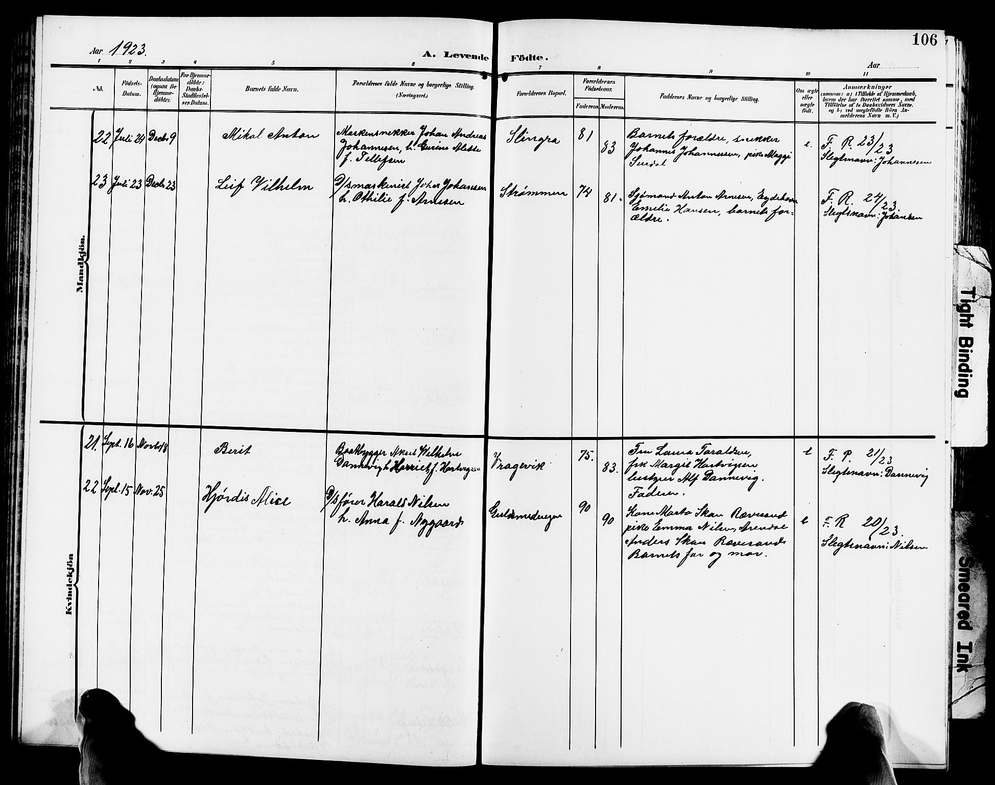 Hisøy sokneprestkontor, AV/SAK-1111-0020/F/Fb/L0004: Parish register (copy) no. B 4, 1905-1923, p. 106