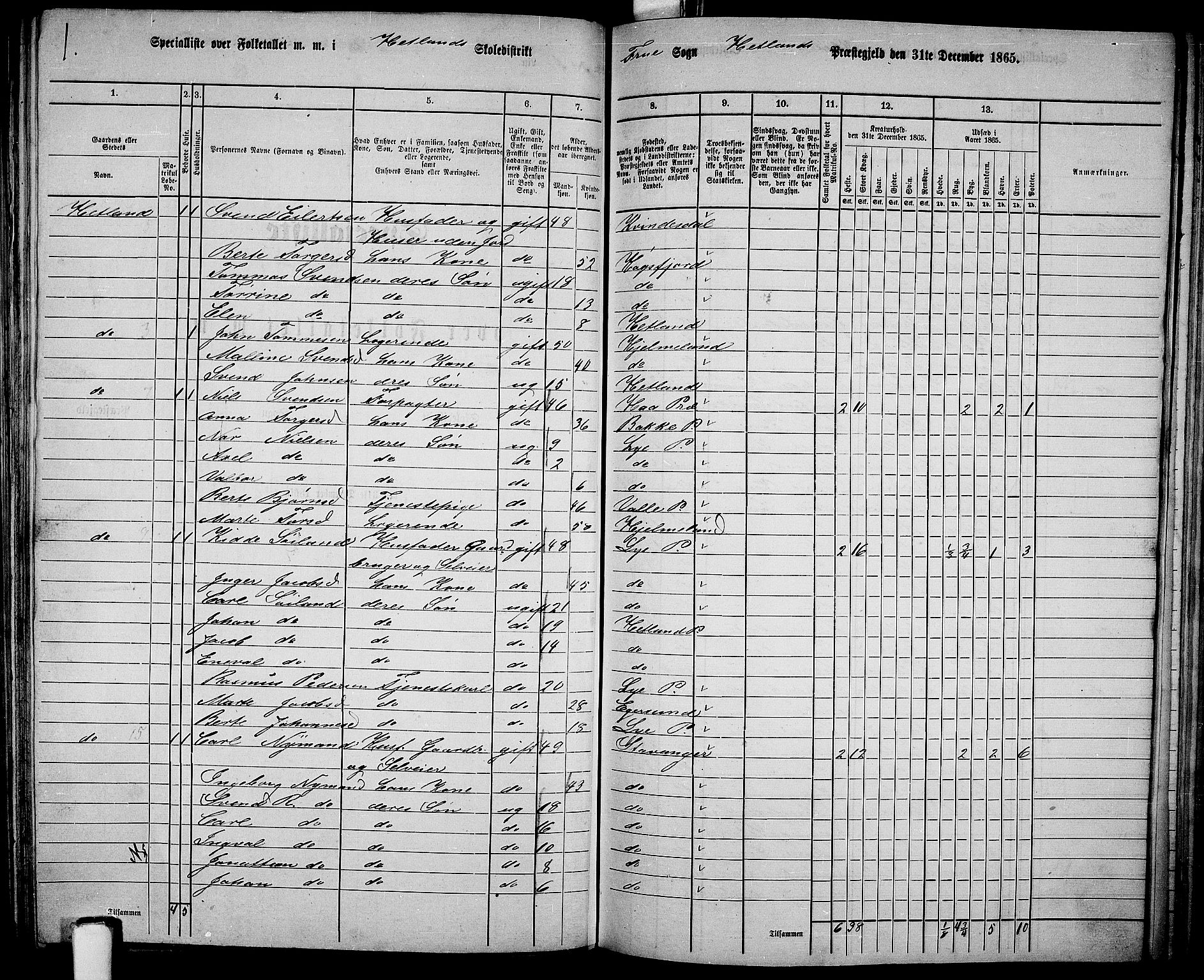 RA, 1865 census for Hetland, 1865, p. 141