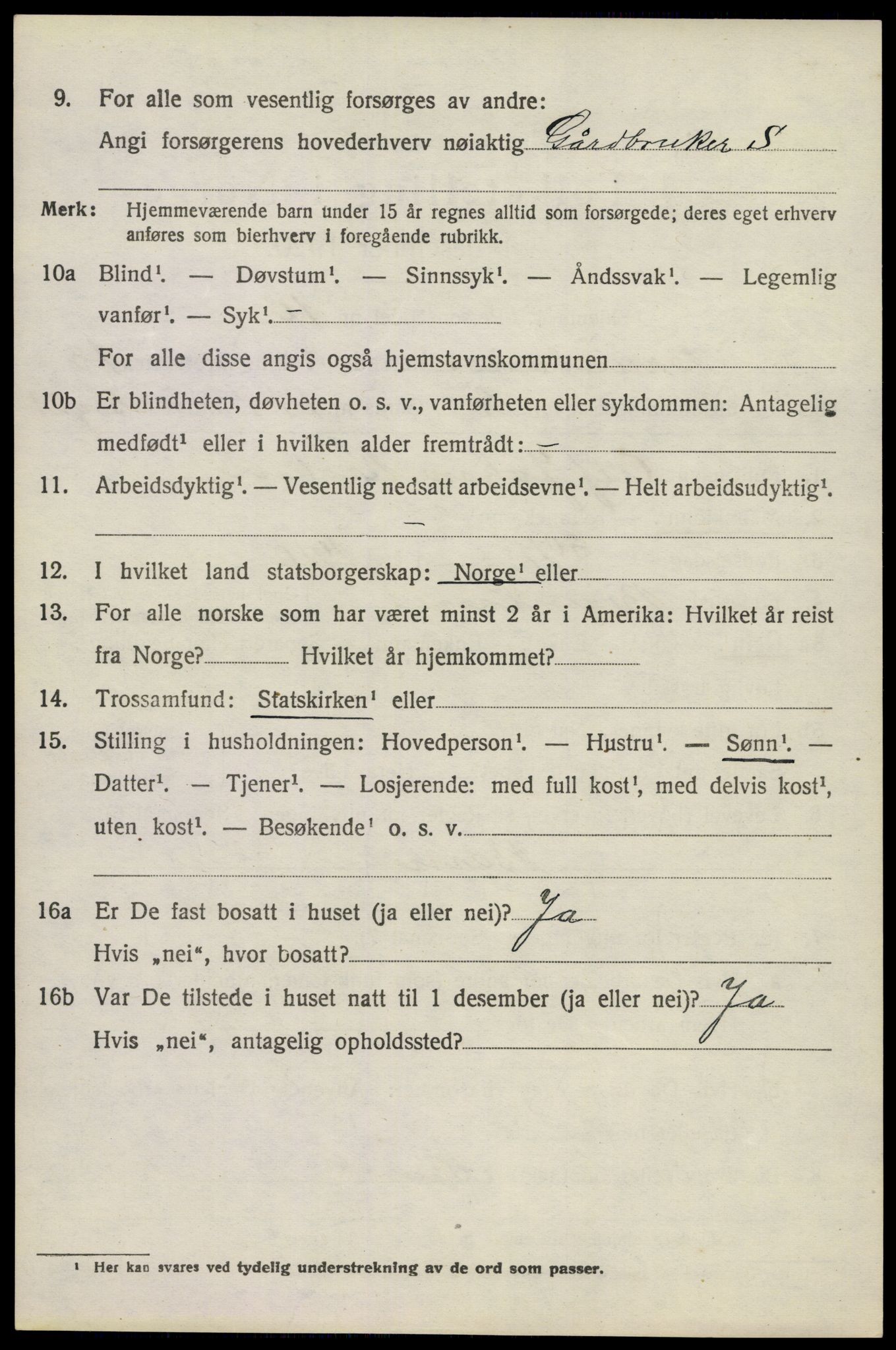 SAKO, 1920 census for Brunlanes, 1920, p. 10818