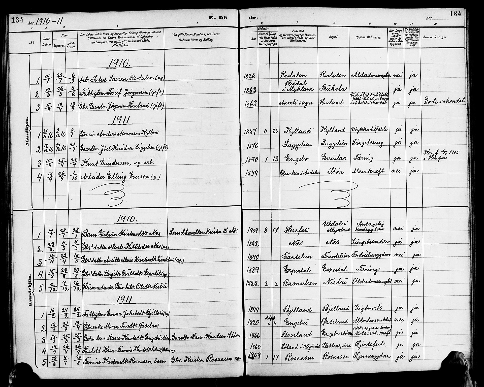 Herefoss sokneprestkontor, SAK/1111-0019/F/Fb/Fba/L0003: Parish register (copy) no. B 3, 1887-1925, p. 134