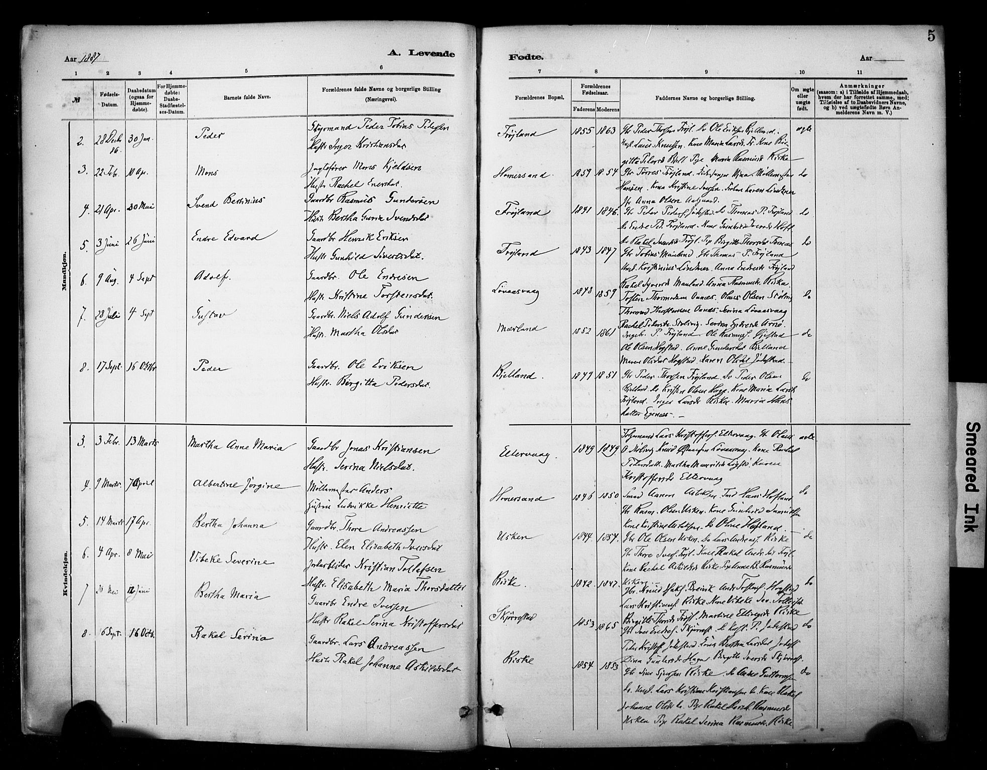 Hetland sokneprestkontor, SAST/A-101826/30/30BA/L0010: Parish register (official) no. A 10, 1882-1925, p. 5