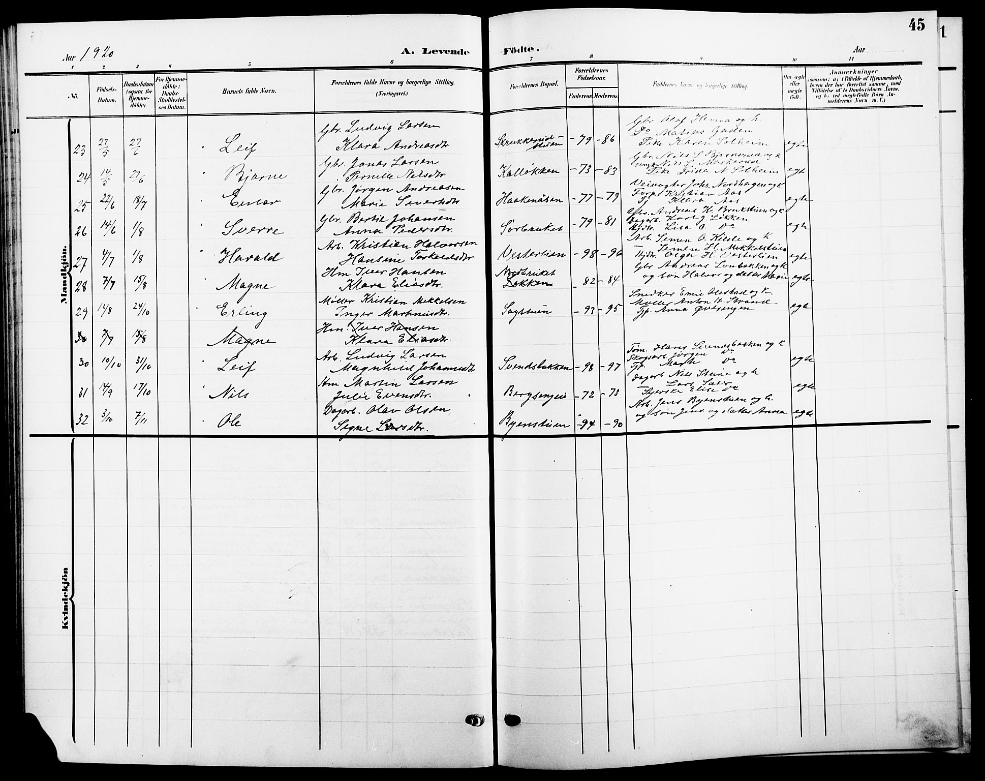 Ringsaker prestekontor, SAH/PREST-014/L/La/L0016: Parish register (copy) no. 16, 1905-1920, p. 45