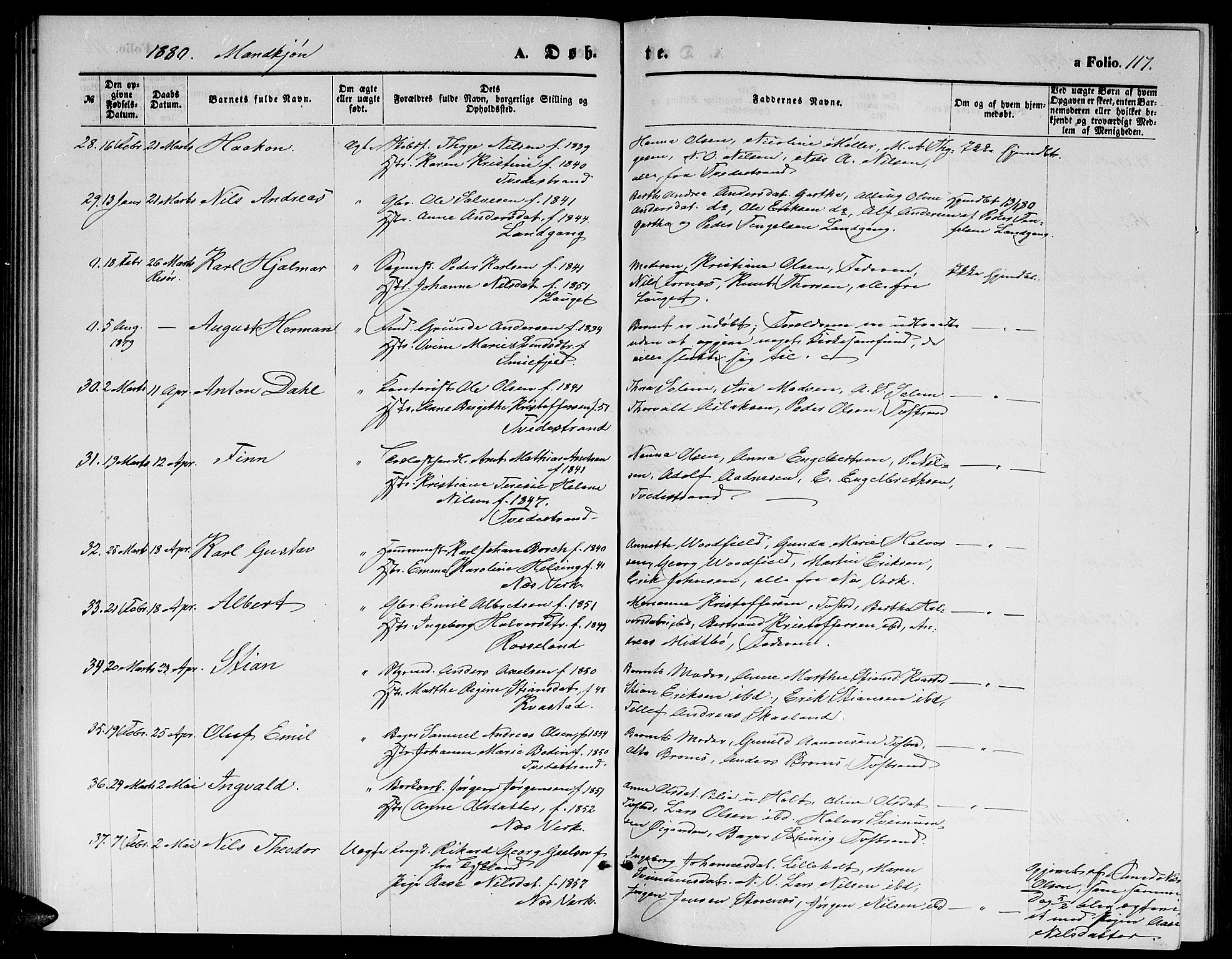 Holt sokneprestkontor, AV/SAK-1111-0021/F/Fb/L0009: Parish register (copy) no. B 9, 1871-1883, p. 117