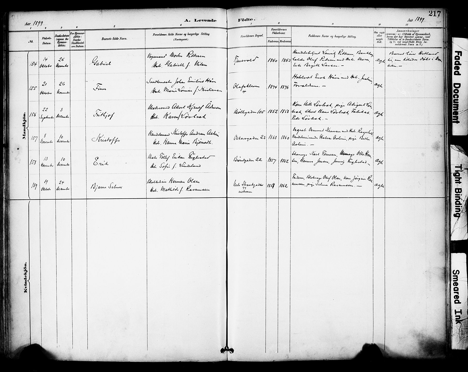 Domkirken sokneprestkontor, SAST/A-101812/001/30/30BA/L0030: Parish register (official) no. A 29, 1889-1902, p. 217