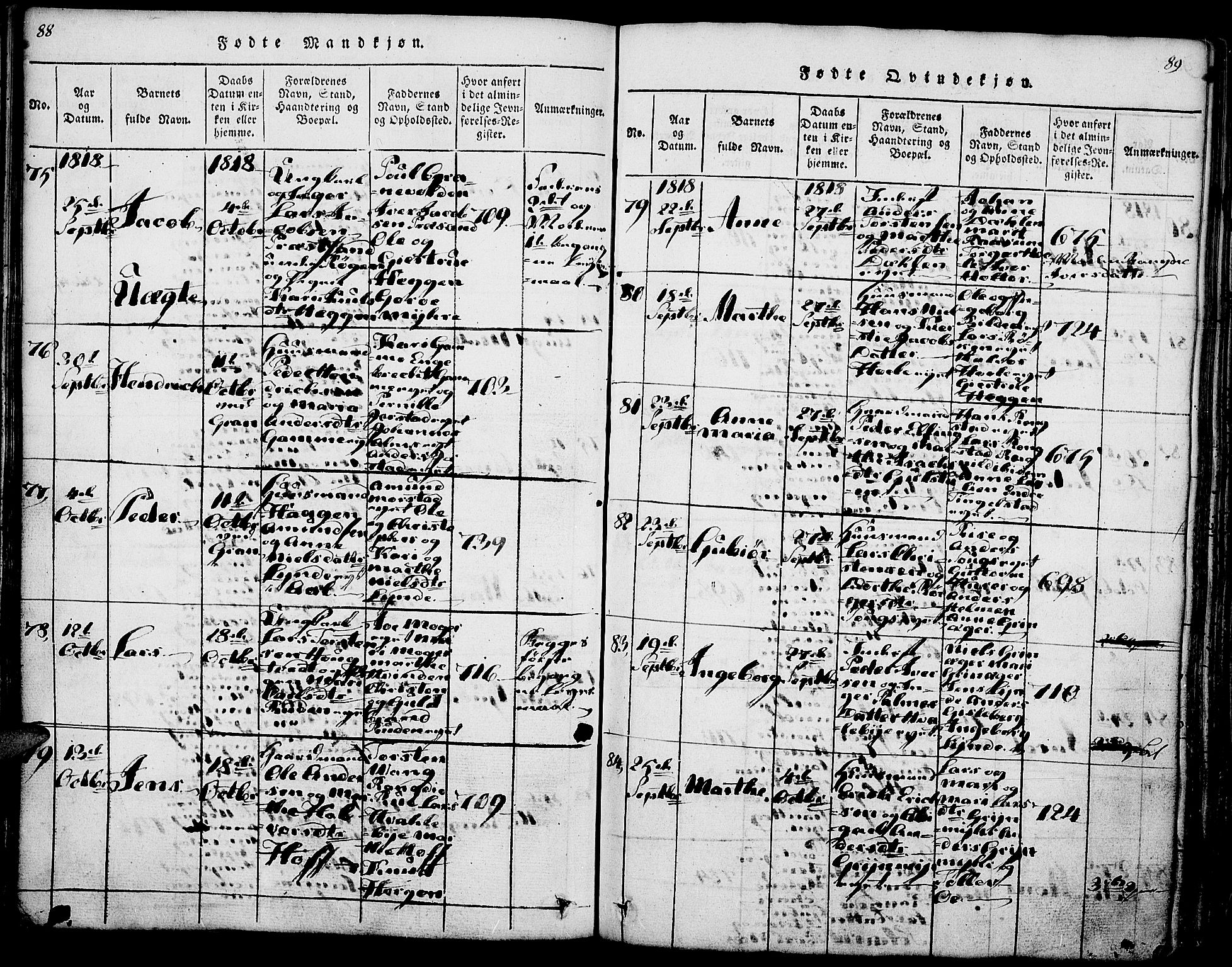 Gran prestekontor, AV/SAH-PREST-112/H/Ha/Haa/L0009: Parish register (official) no. 9, 1815-1824, p. 88-89