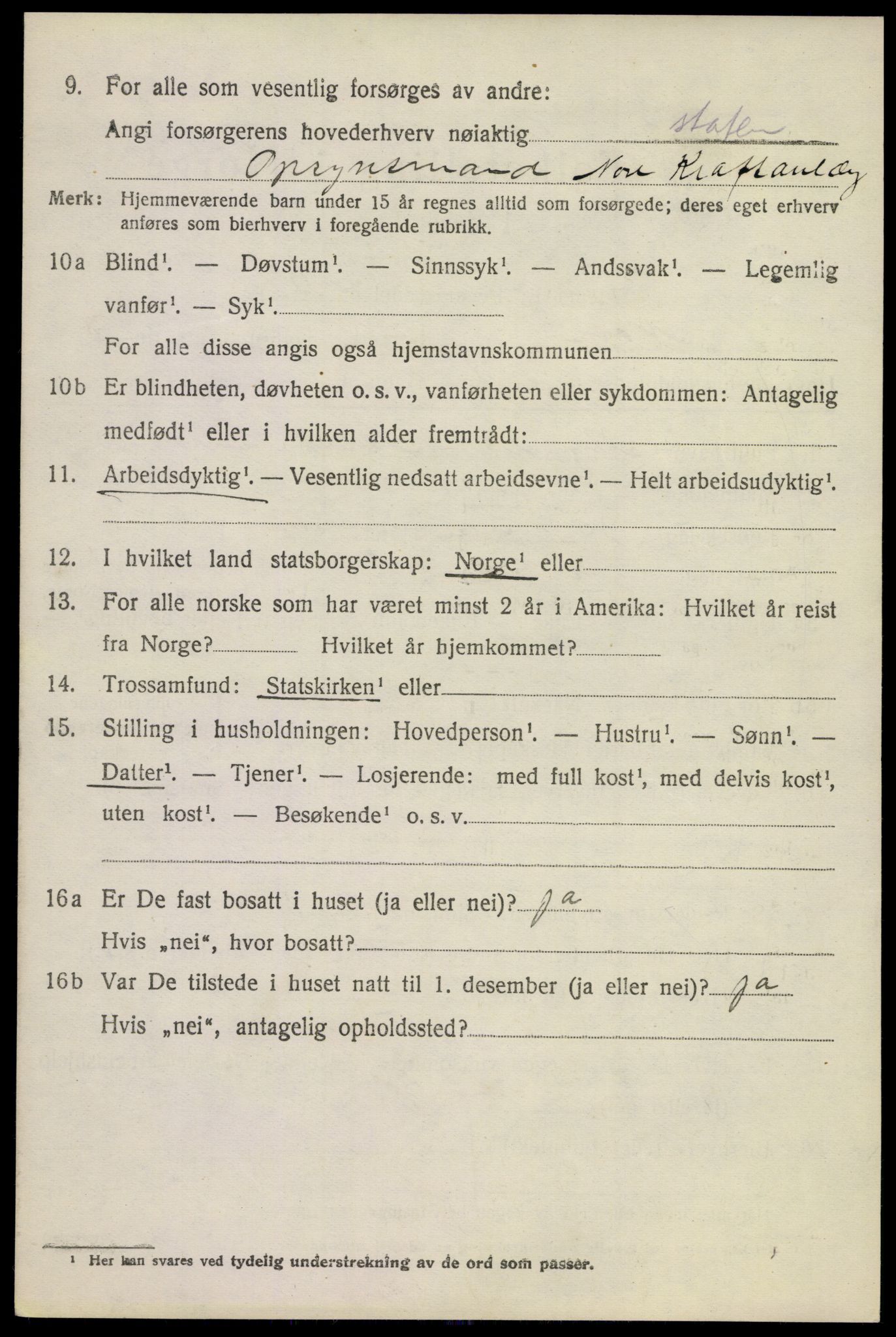 SAKO, 1920 census for Nore, 1920, p. 4007
