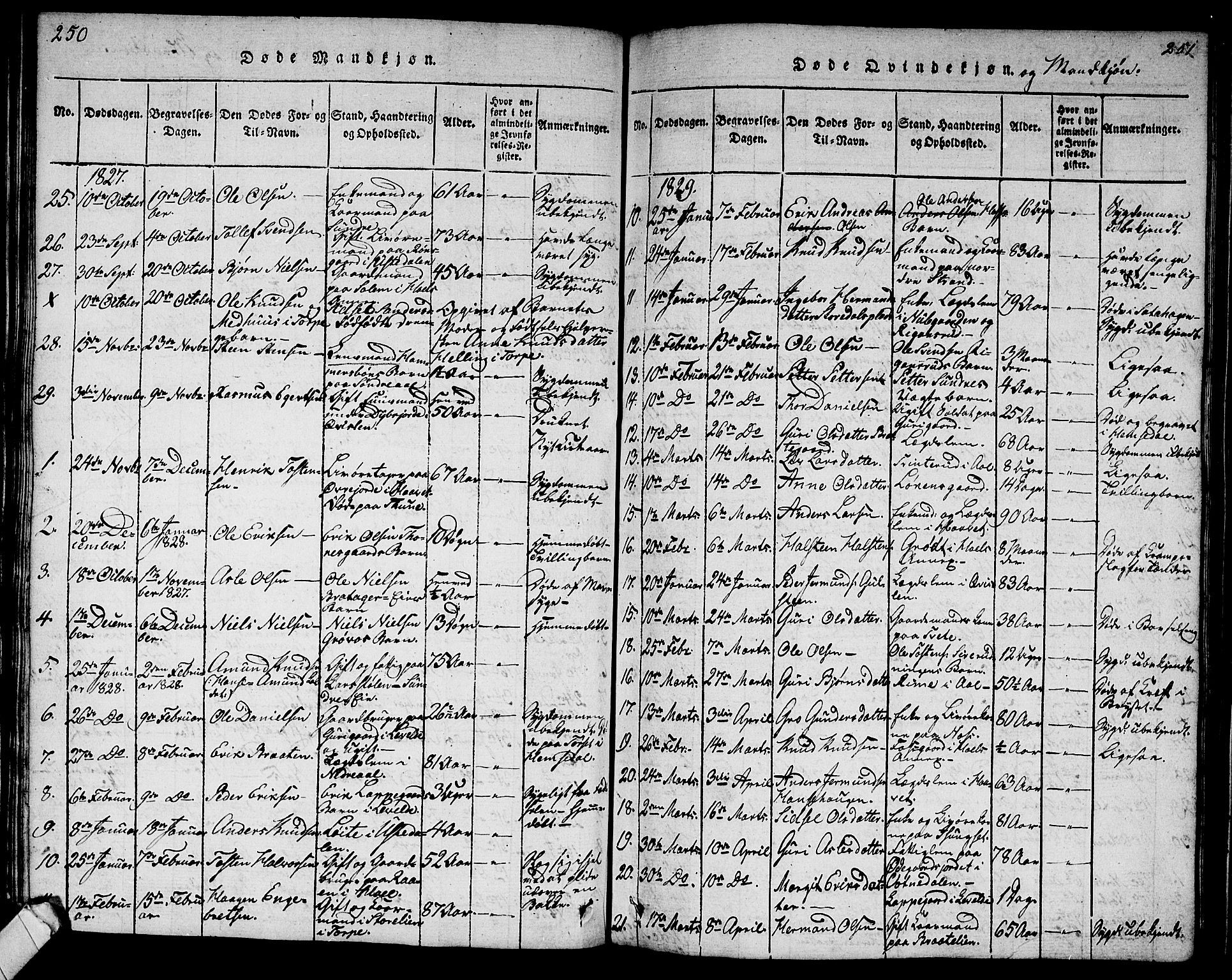 Ål kirkebøker, AV/SAKO-A-249/G/Ga/L0001: Parish register (copy) no. 1, 1815-1829, p. 250-251