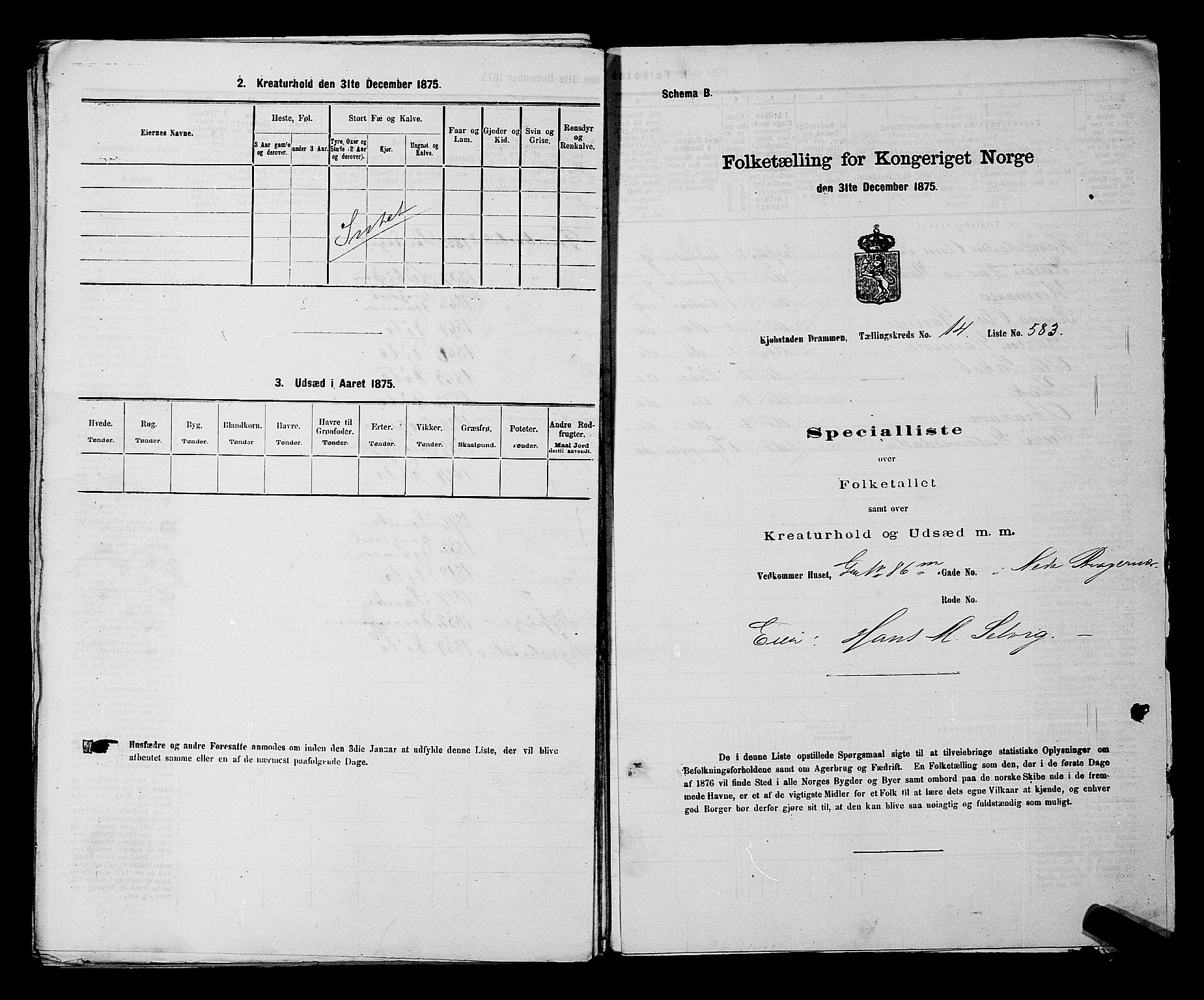 SAKO, 1875 census for 0602 Drammen, 1875, p. 1610