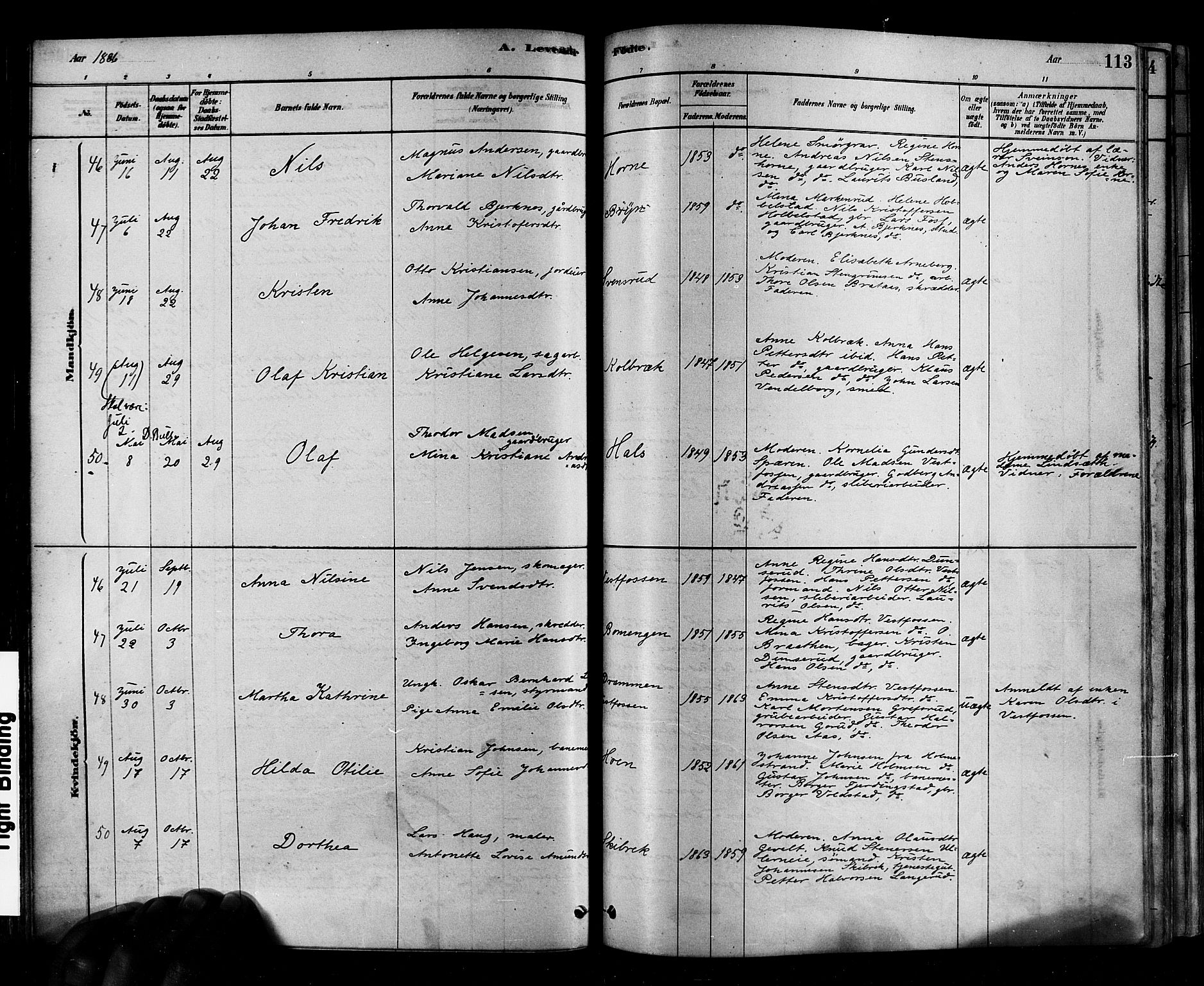 Eiker kirkebøker, AV/SAKO-A-4/F/Fb/L0001: Parish register (official) no. II 1, 1878-1888, p. 113