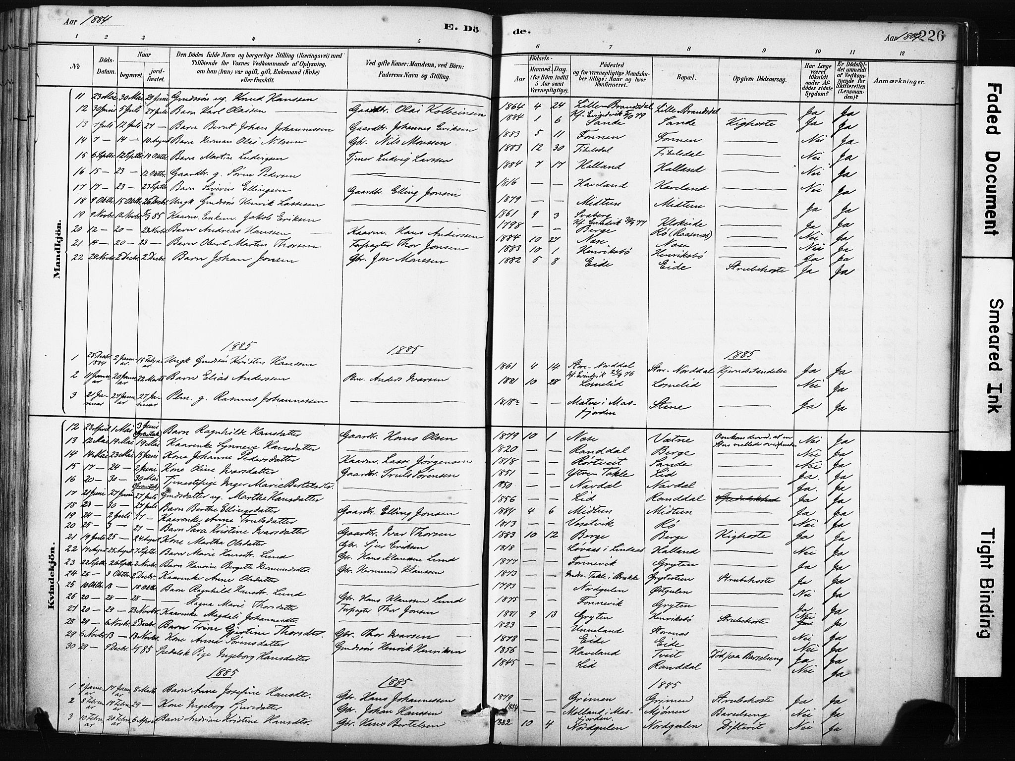 Gulen sokneprestembete, SAB/A-80201/H/Haa/Haab/L0001: Parish register (official) no. B 1, 1881-1905, p. 226