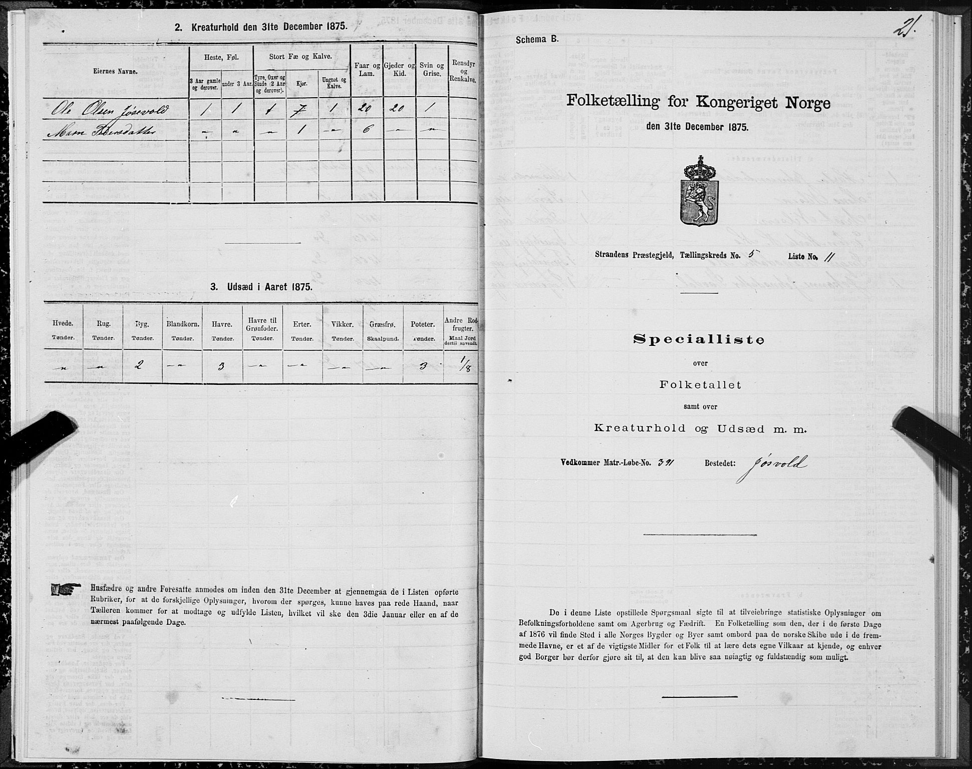 SAT, 1875 census for 1525P Stranda, 1875, p. 3021