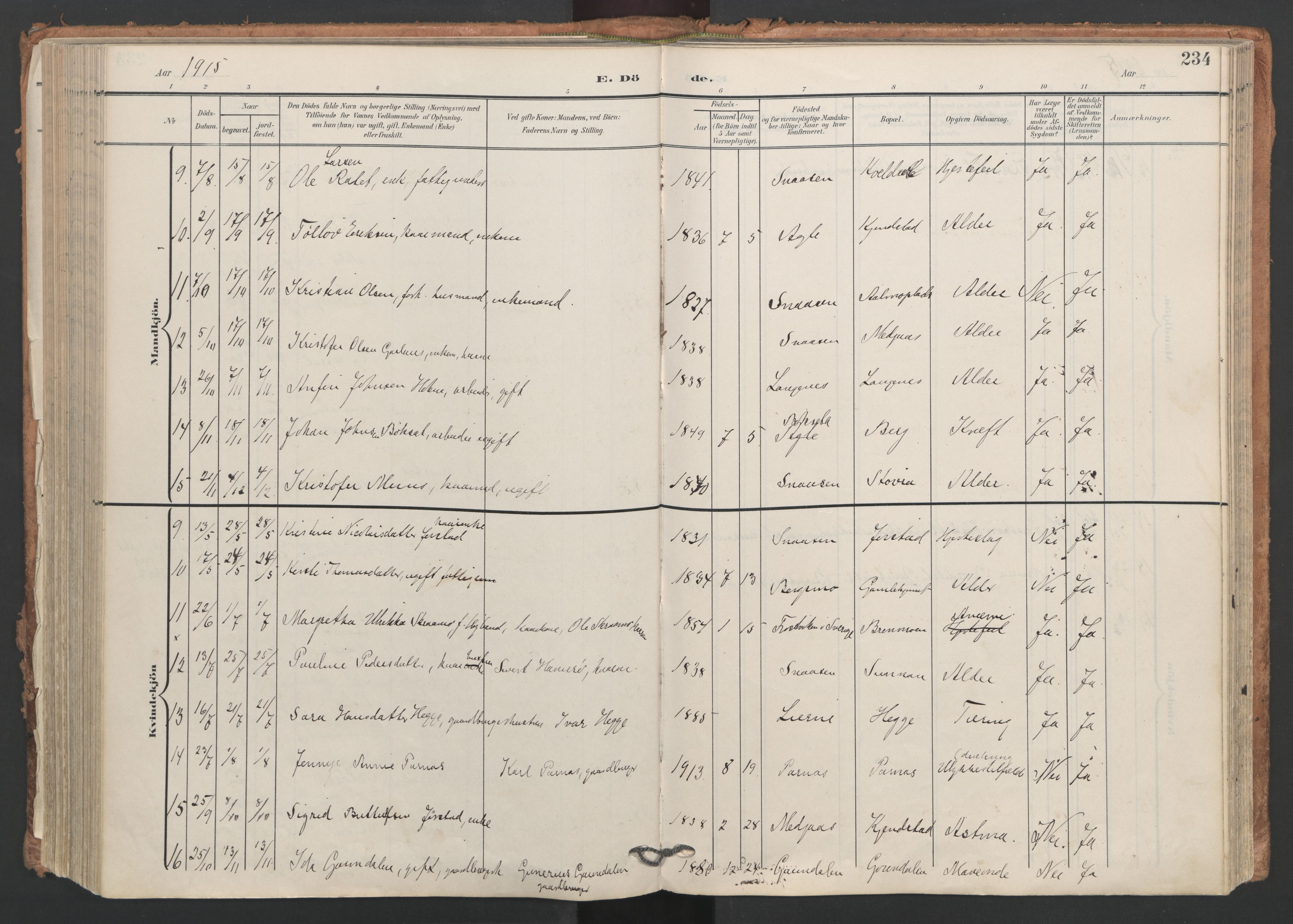 Ministerialprotokoller, klokkerbøker og fødselsregistre - Nord-Trøndelag, AV/SAT-A-1458/749/L0477: Parish register (official) no. 749A11, 1902-1927, p. 234