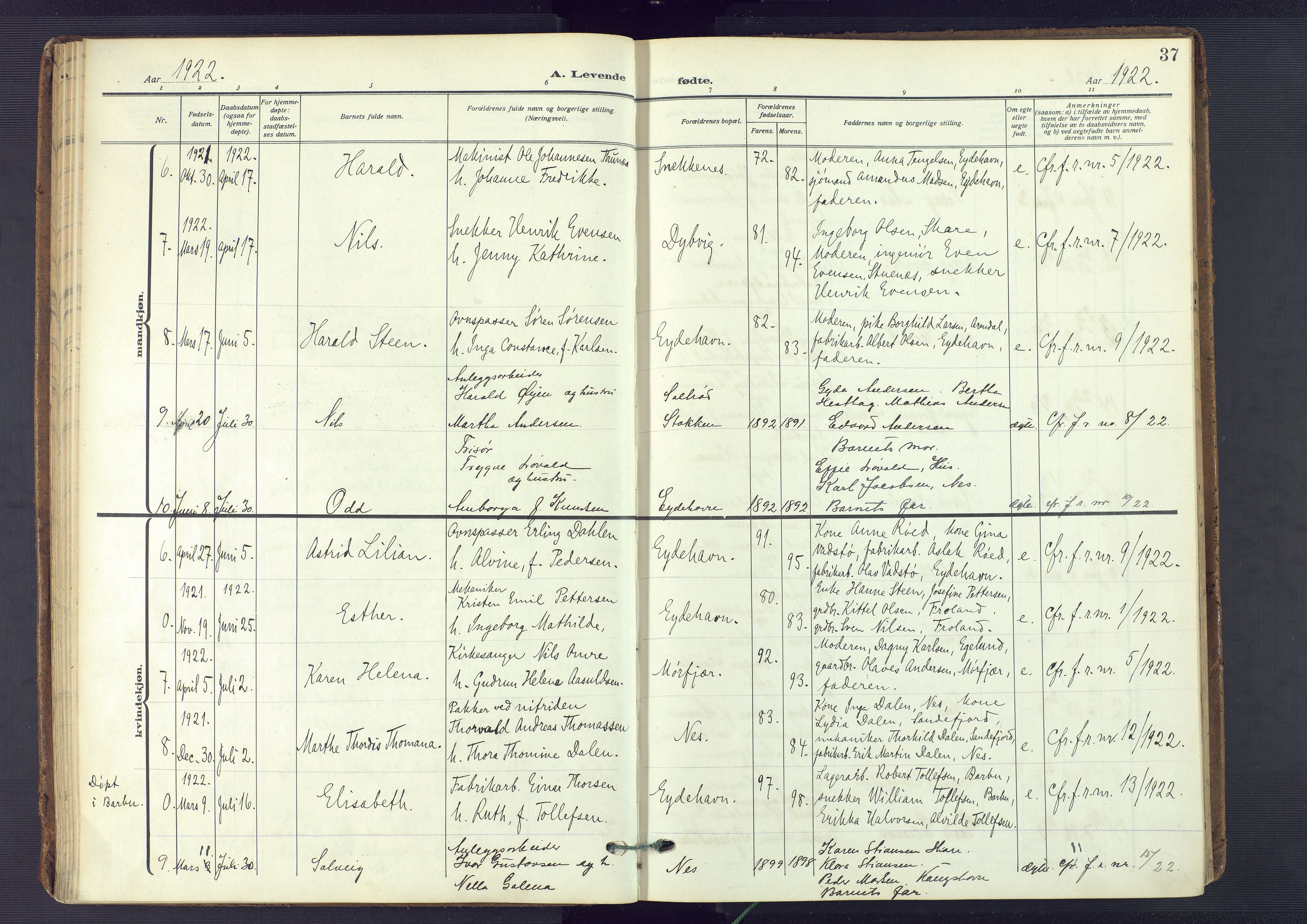 Austre Moland sokneprestkontor, AV/SAK-1111-0001/F/Fa/Fab/L0003: Parish register (official) no. A 3, 1914-1927, p. 37