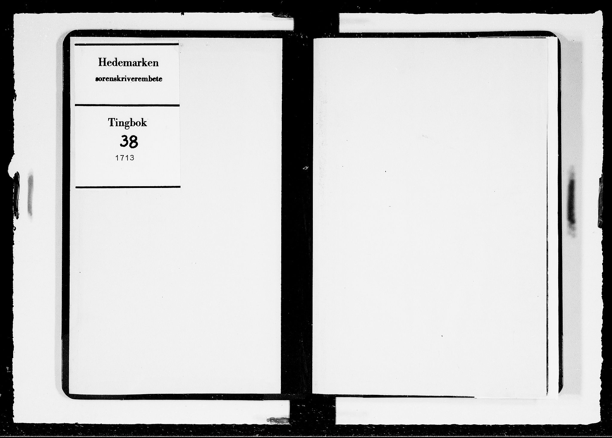 Hedemarken sorenskriveri, AV/SAH-TING-034/G/Gb/L0038: Tingbok, 1713