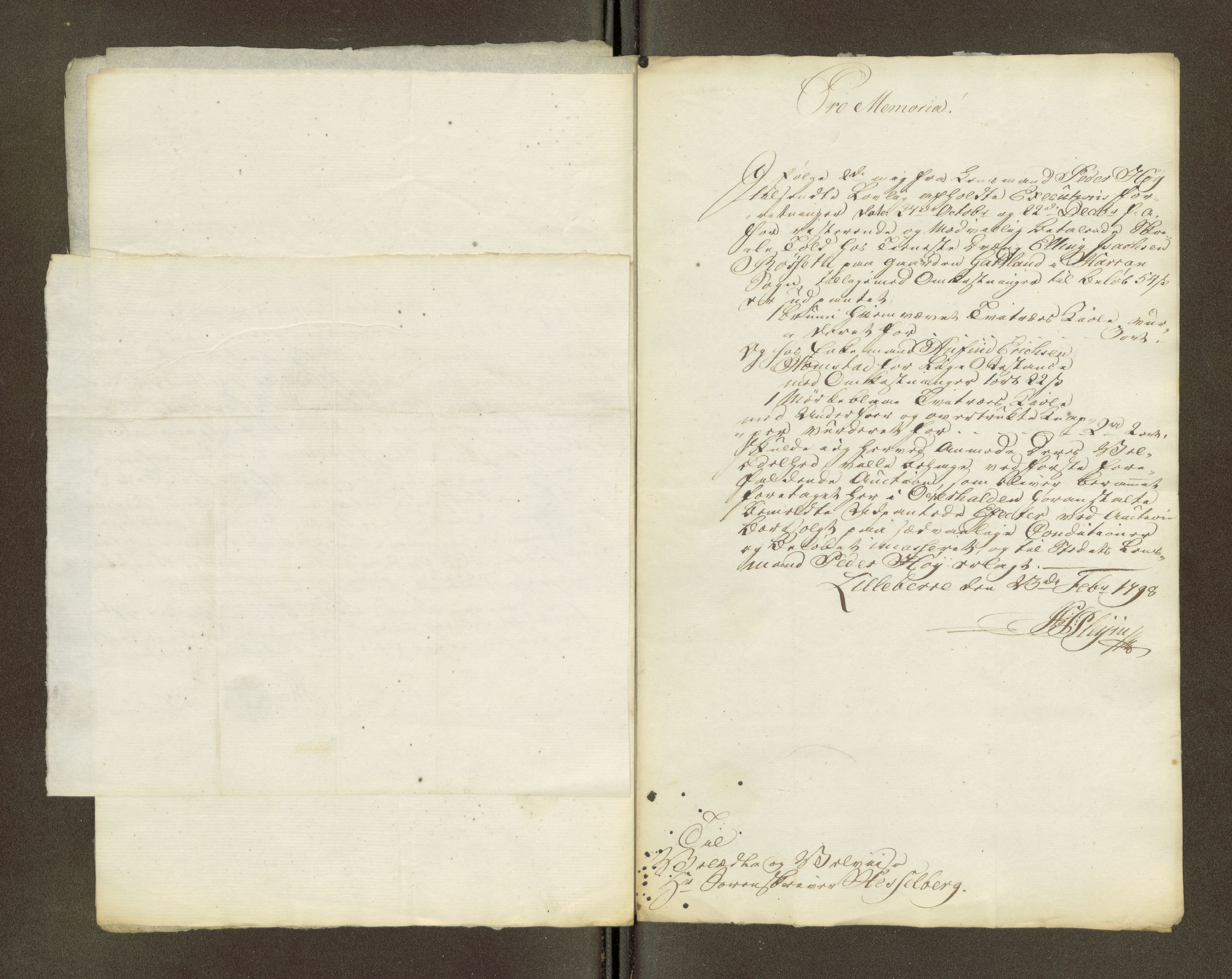 Namdal sorenskriveri, AV/SAT-A-4133/1/1/1O/1Oa/L0007: Sivile og offentlige saker, 1798, p. 416