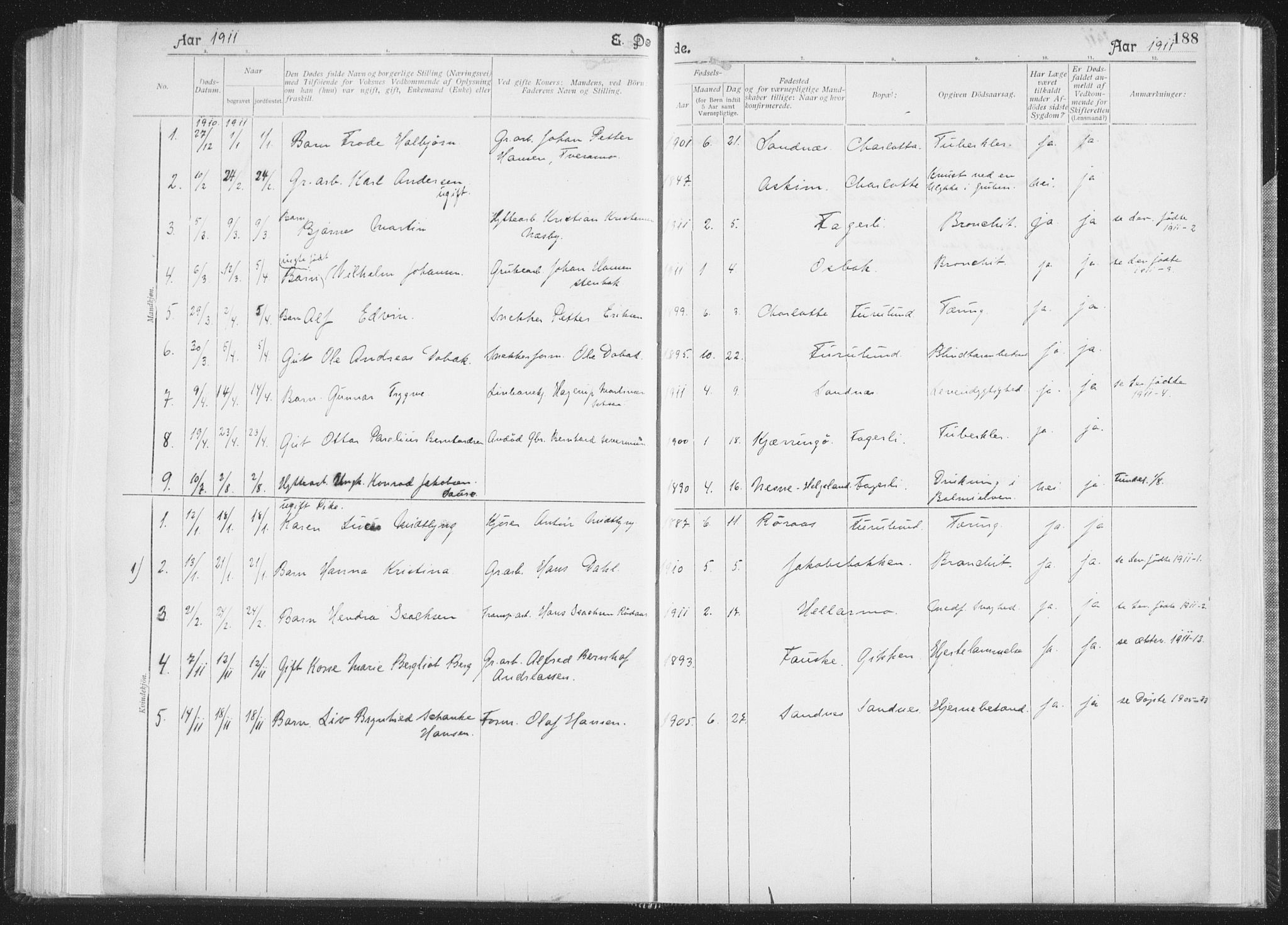 Ministerialprotokoller, klokkerbøker og fødselsregistre - Nordland, SAT/A-1459/850/L0711: Curate's parish register no. 850B01, 1902-1915, p. 188