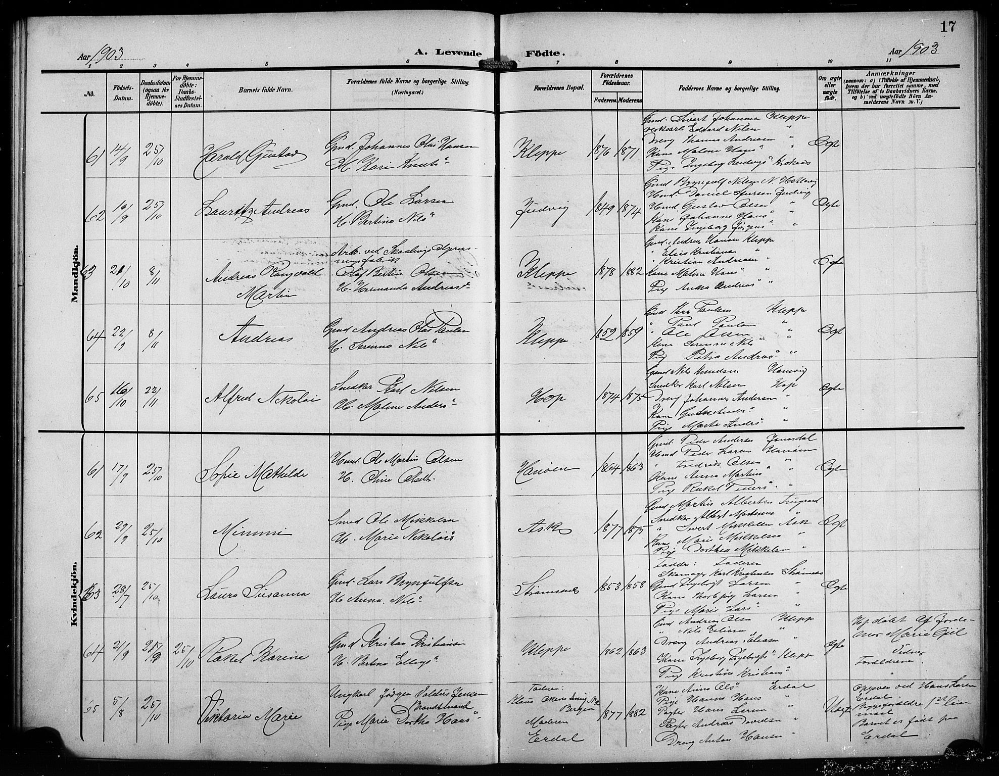 Askøy Sokneprestembete, SAB/A-74101/H/Ha/Hab/Haba/L0010: Parish register (copy) no. A 10, 1903-1907, p. 17
