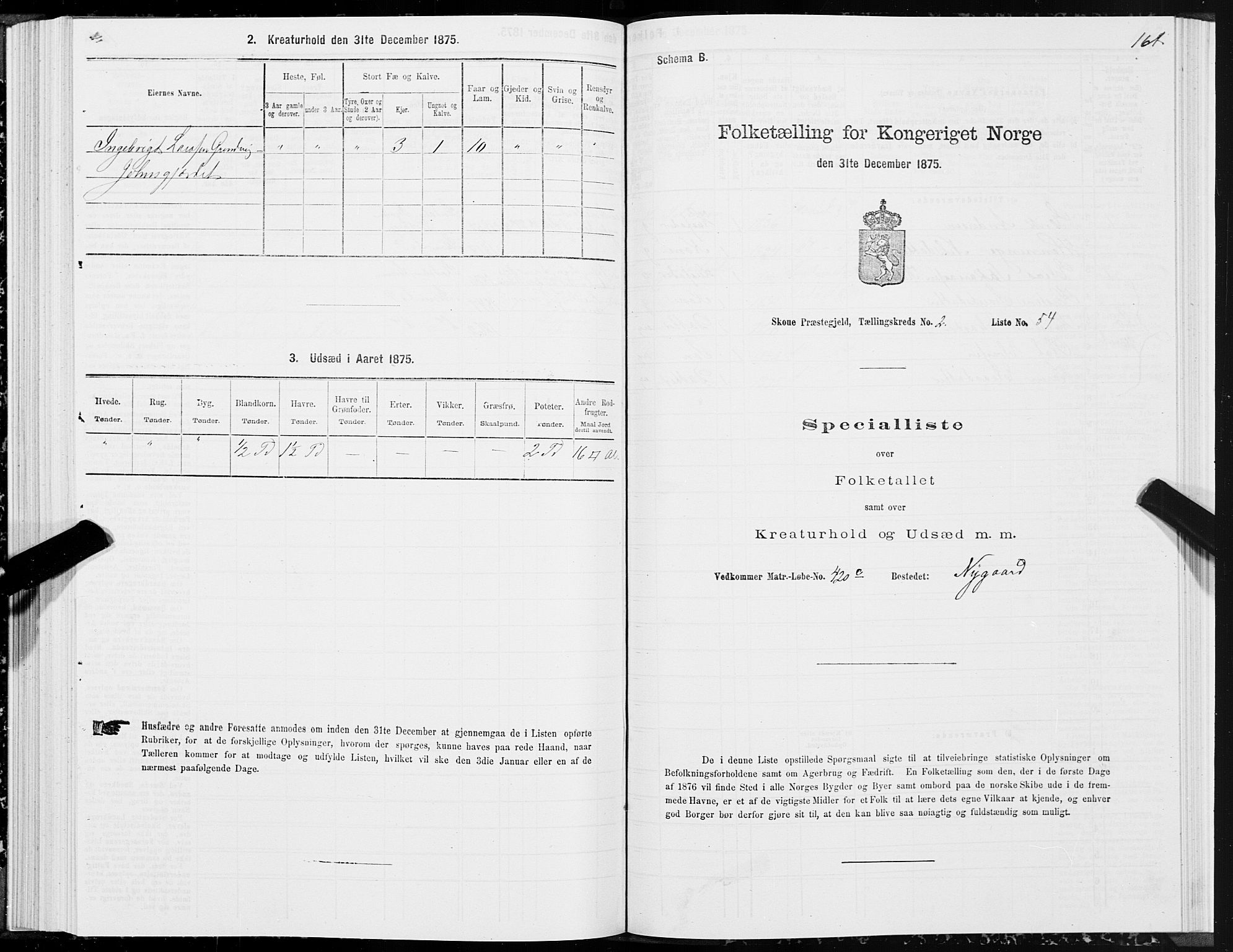 SAT, 1875 census for 1529P Skodje, 1875, p. 1161