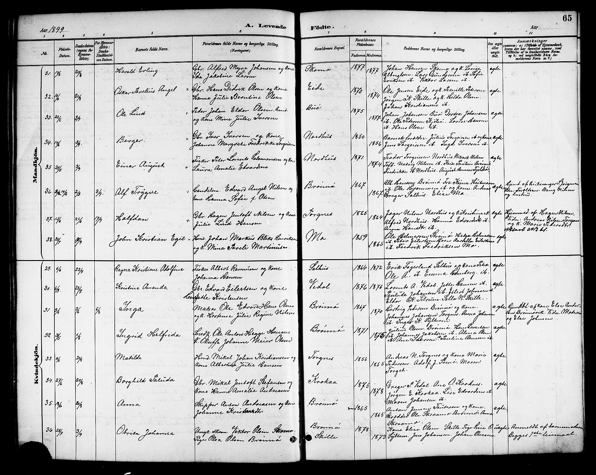 Ministerialprotokoller, klokkerbøker og fødselsregistre - Nordland, SAT/A-1459/813/L0213: Parish register (copy) no. 813C05, 1887-1903, p. 65