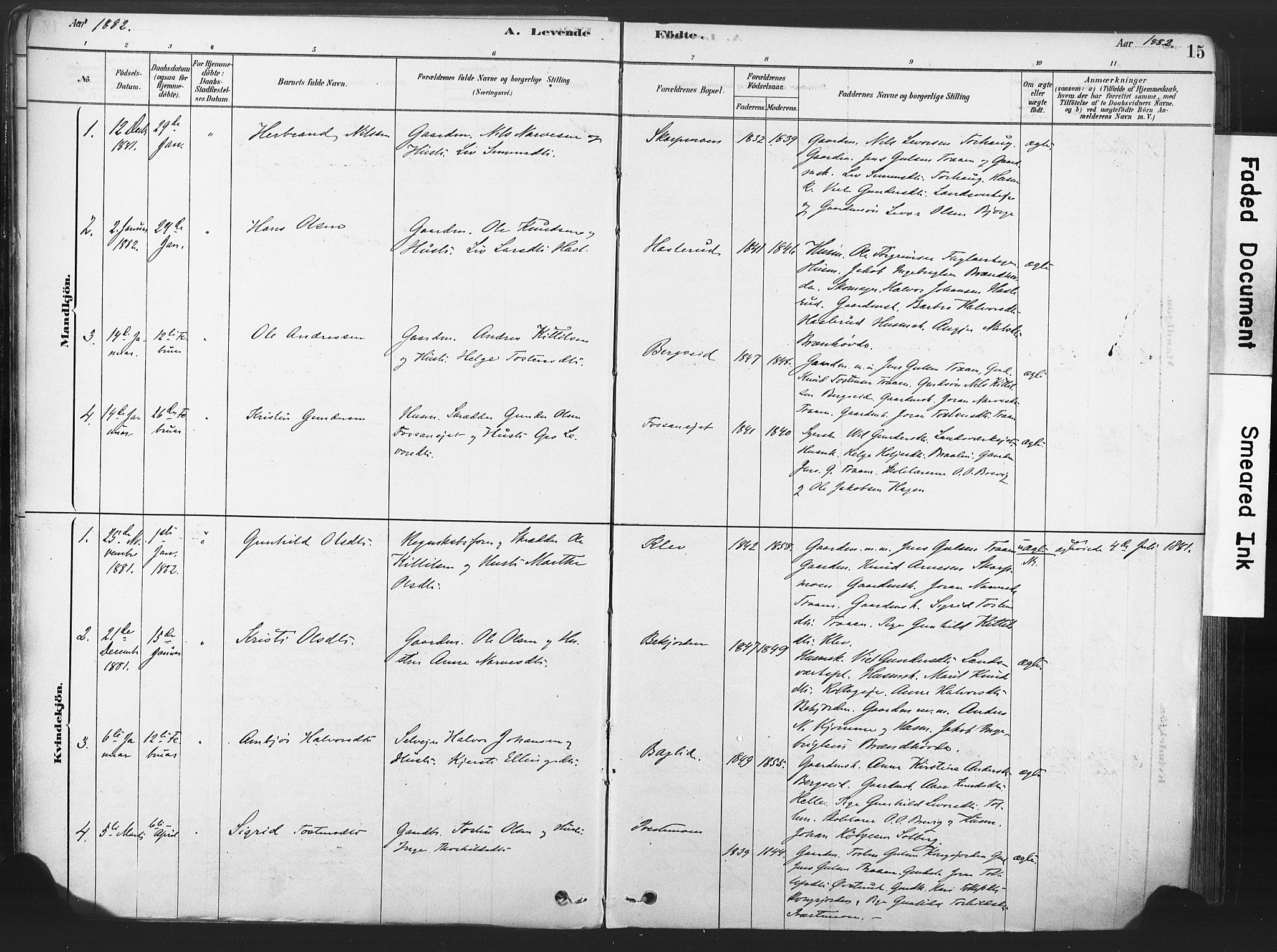 Rollag kirkebøker, SAKO/A-240/F/Fa/L0011: Parish register (official) no. I 11, 1878-1902, p. 15