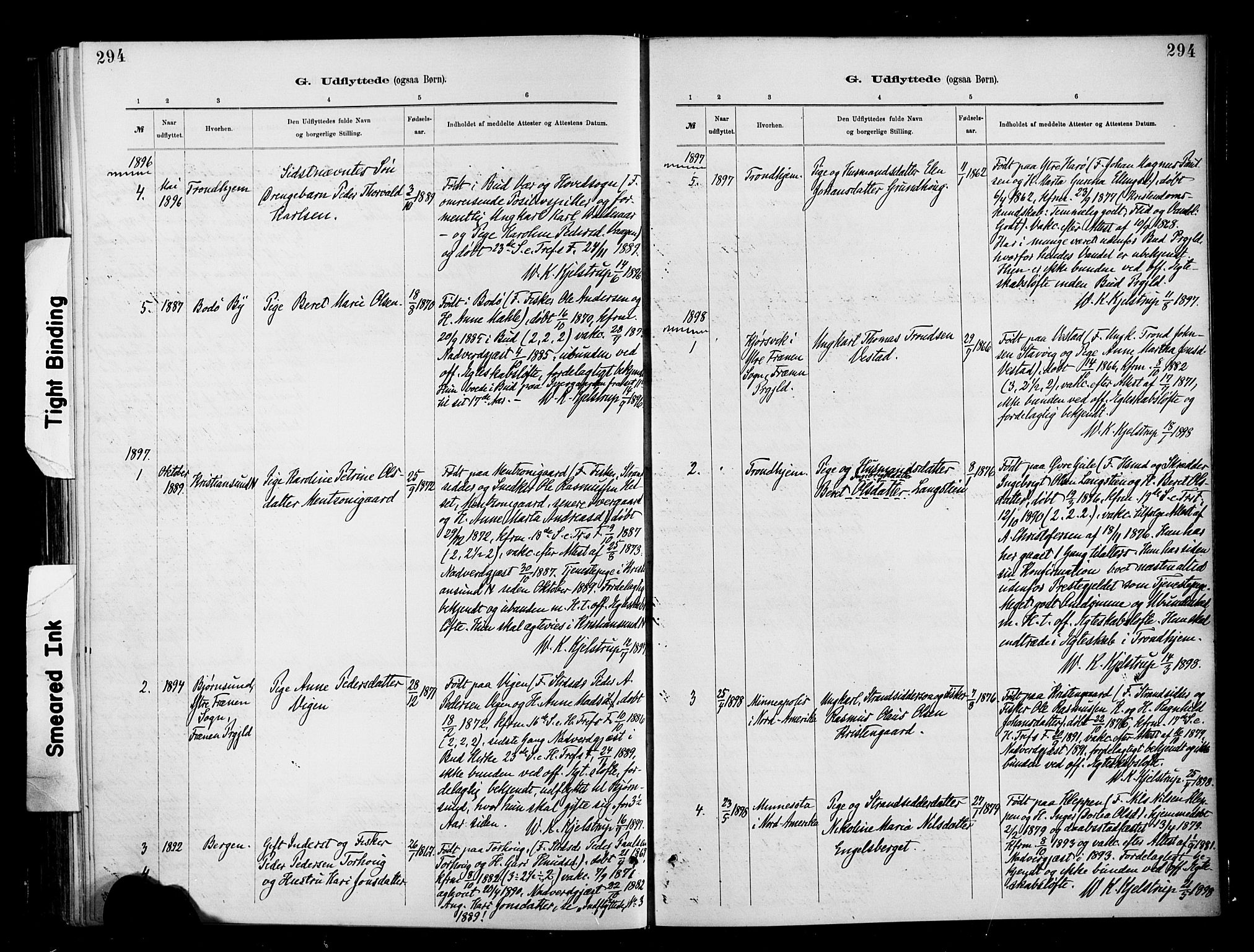 Ministerialprotokoller, klokkerbøker og fødselsregistre - Møre og Romsdal, SAT/A-1454/566/L0769: Parish register (official) no. 566A08, 1881-1903, p. 294