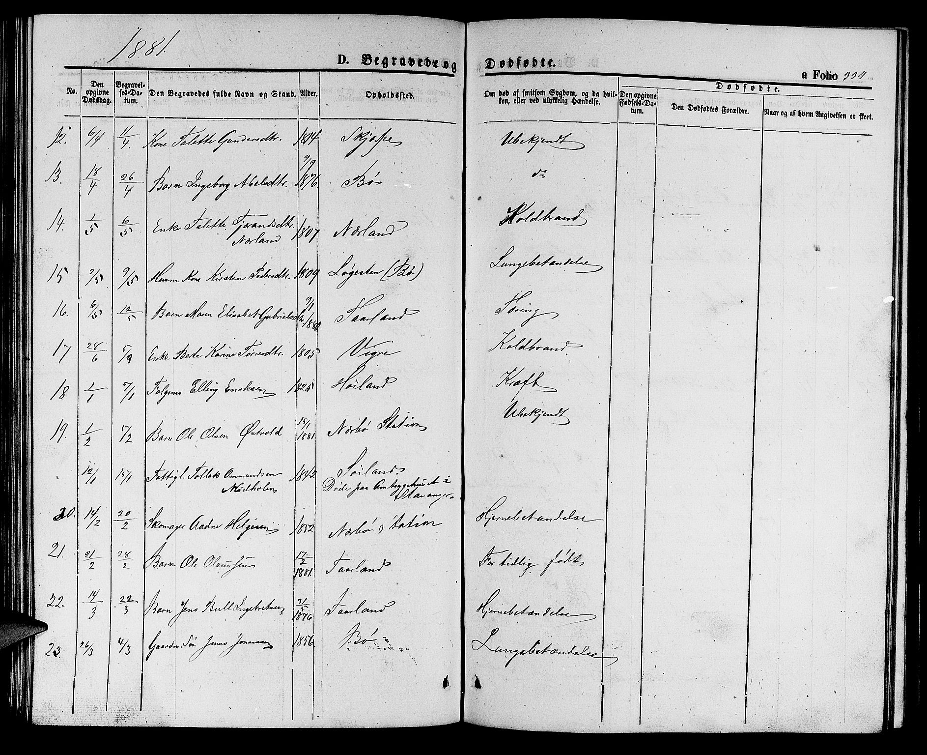 Hå sokneprestkontor, AV/SAST-A-101801/001/30BB/L0001: Parish register (copy) no. B 1, 1854-1883, p. 334