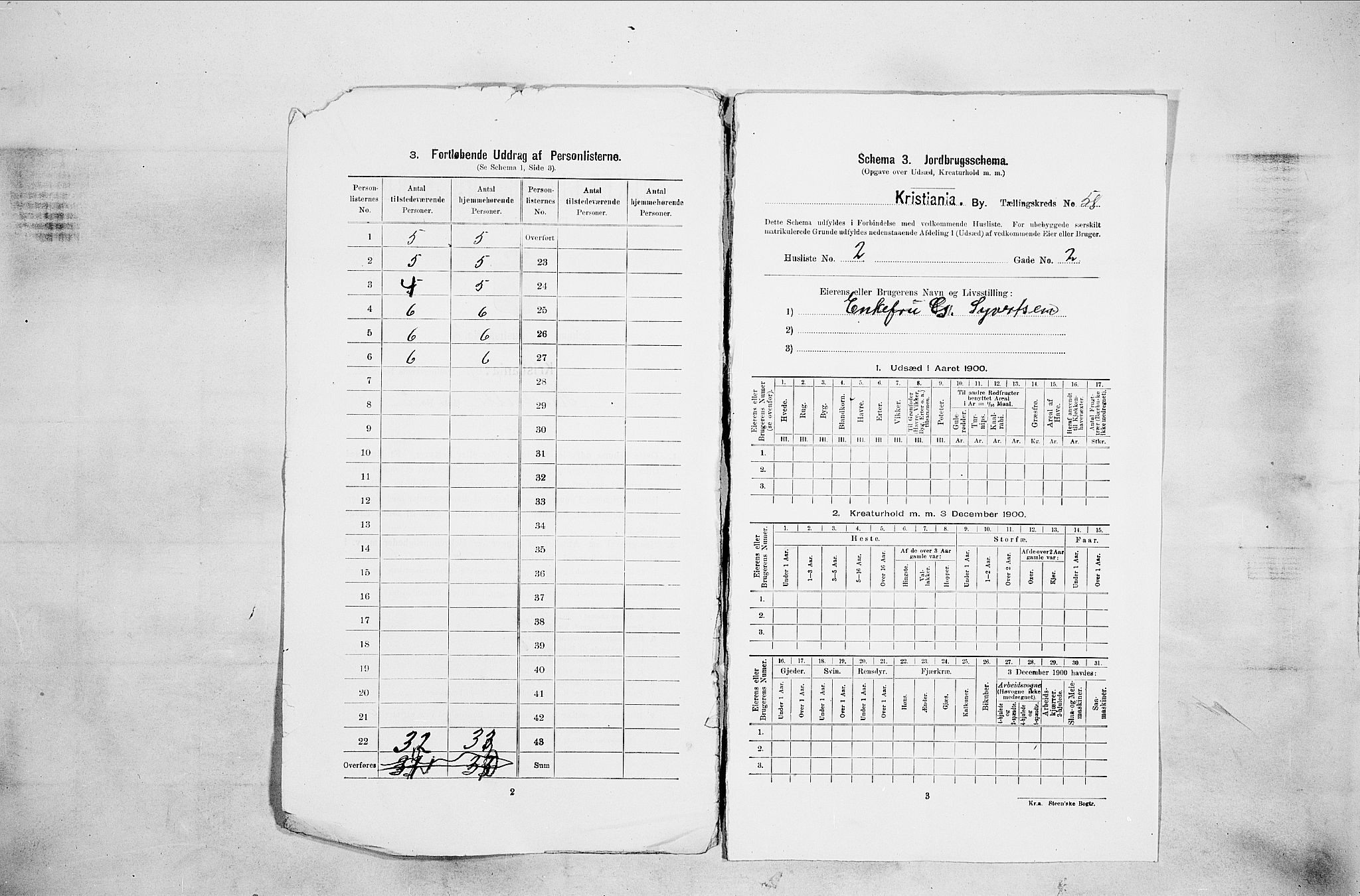 SAO, 1900 census for Kristiania, 1900, p. 39114