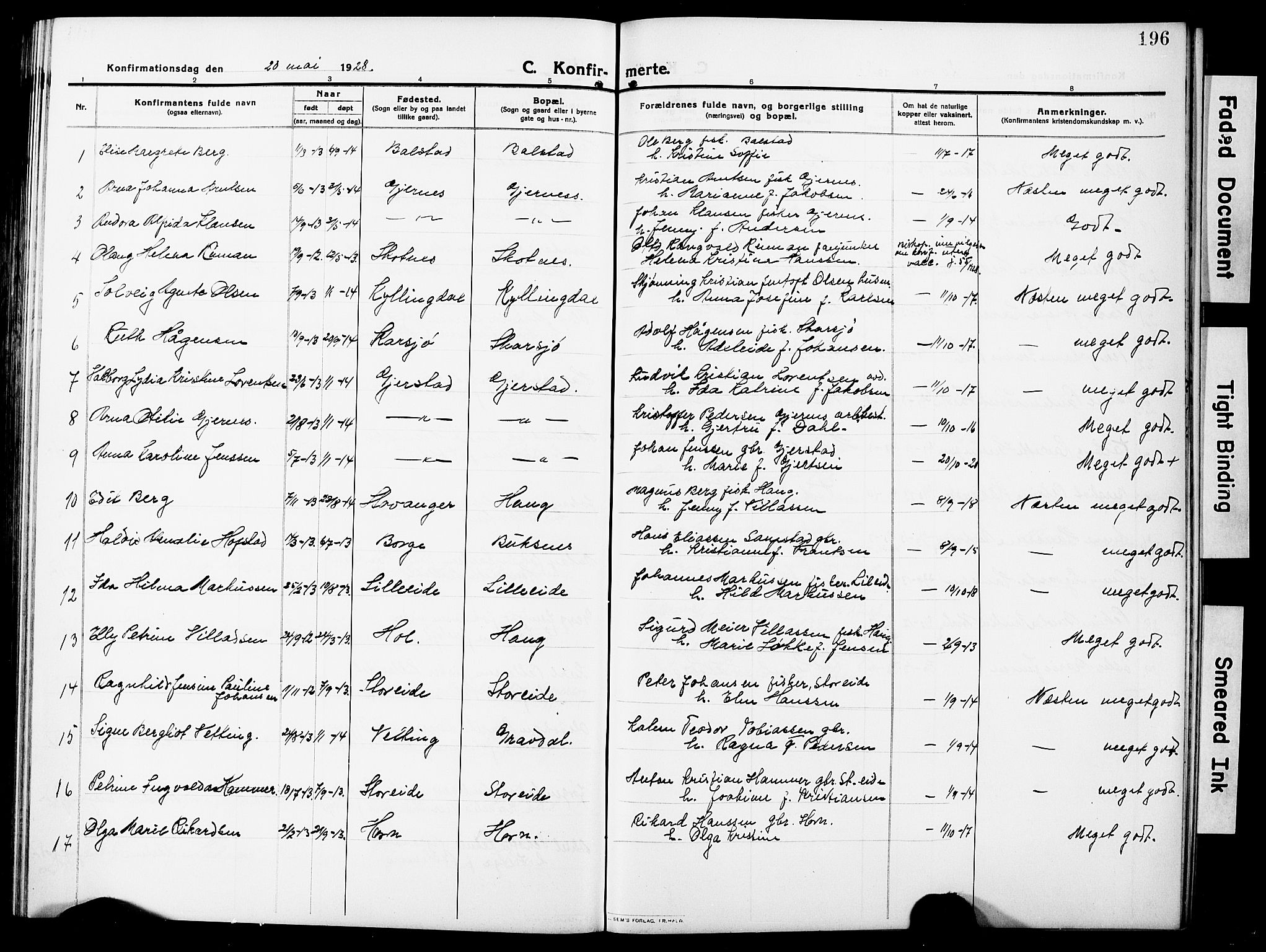 Ministerialprotokoller, klokkerbøker og fødselsregistre - Nordland, SAT/A-1459/881/L1169: Parish register (copy) no. 881C06, 1912-1930, p. 196