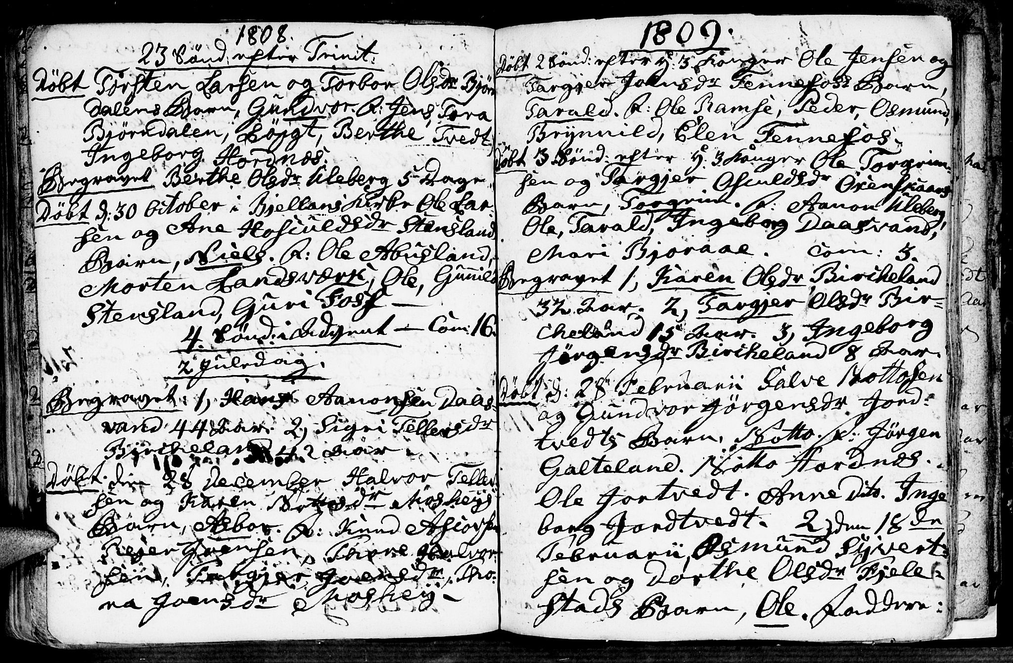 Evje sokneprestkontor, SAK/1111-0008/F/Fa/Fab/L0002: Parish register (official) no. A 2, 1765-1816, p. 114