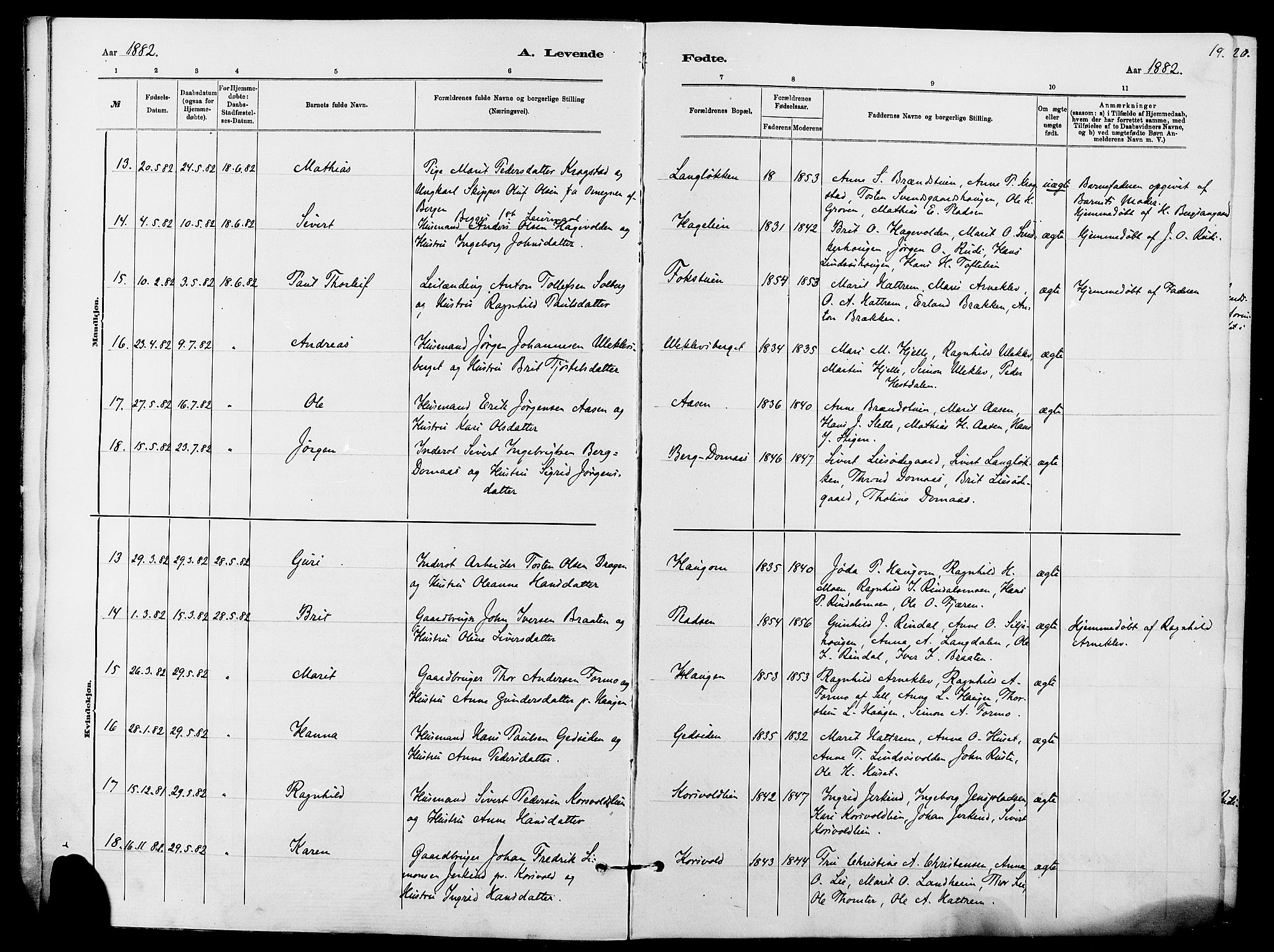 Dovre prestekontor, AV/SAH-PREST-066/H/Ha/Haa/L0002: Parish register (official) no. 2, 1879-1890, p. 19