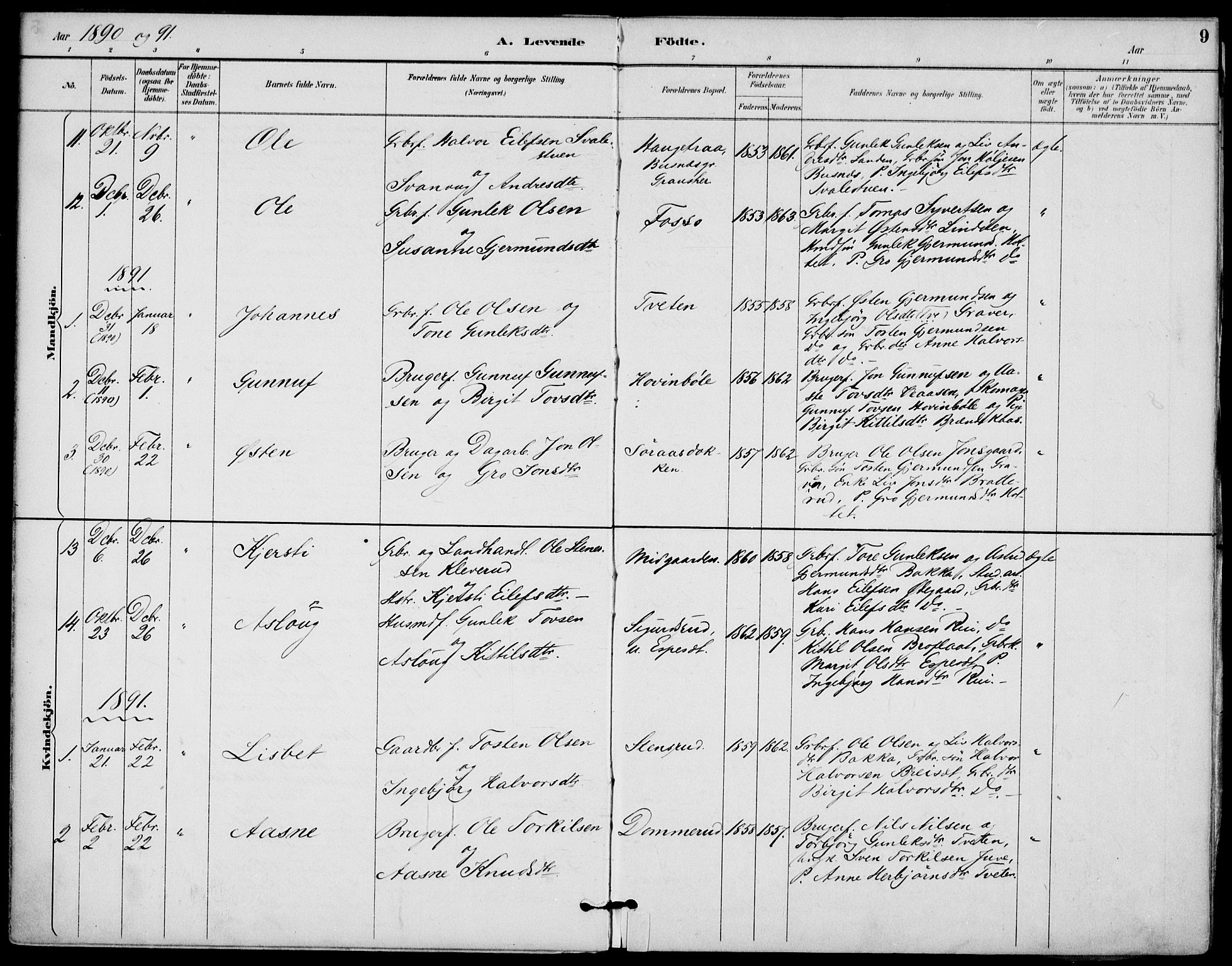 Gransherad kirkebøker, SAKO/A-267/F/Fb/L0005: Parish register (official) no. II 5, 1887-1916, p. 9