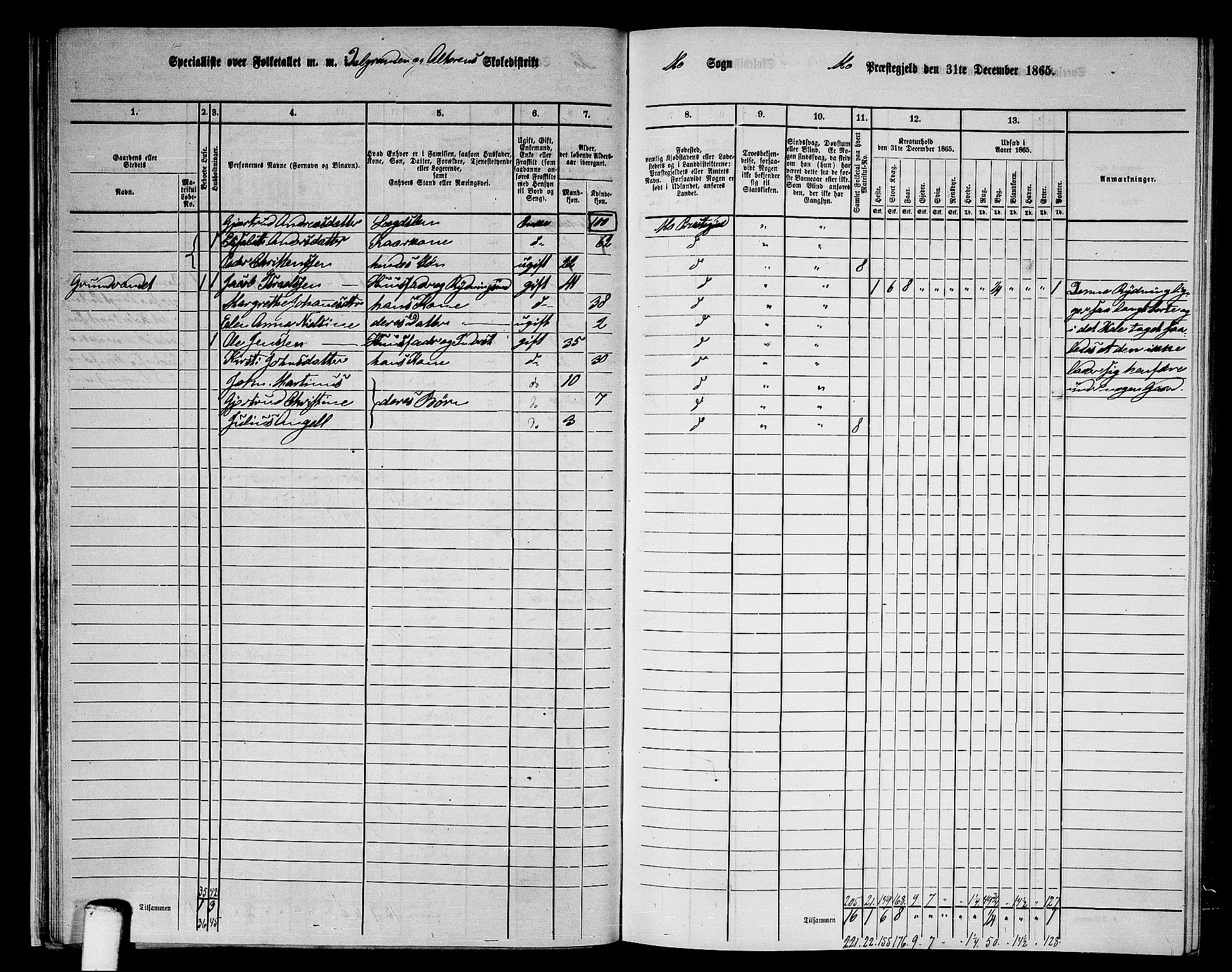 RA, 1865 census for Mo, 1865, p. 31