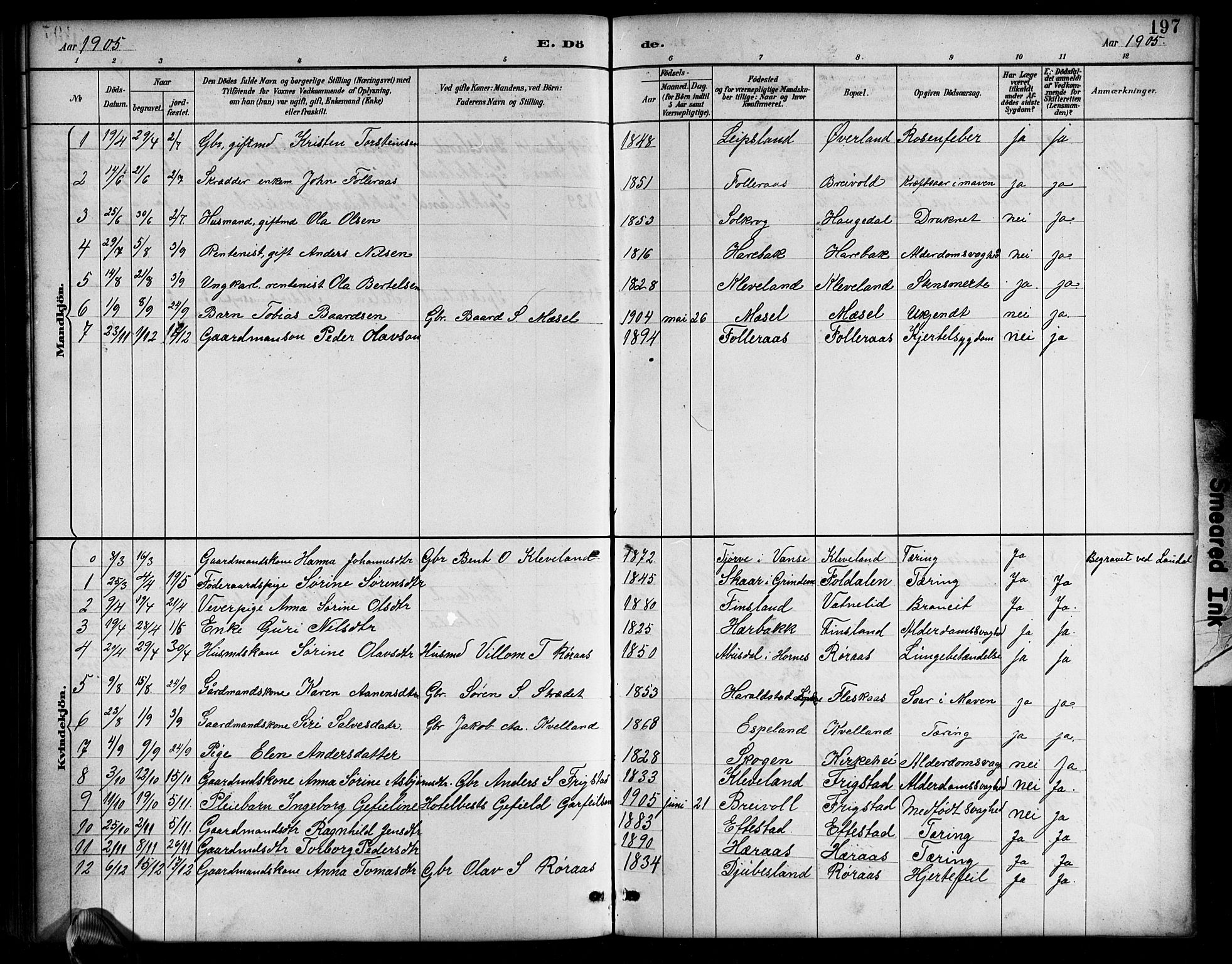 Bjelland sokneprestkontor, SAK/1111-0005/F/Fb/Fbb/L0005: Parish register (copy) no. B 5, 1887-1918, p. 197