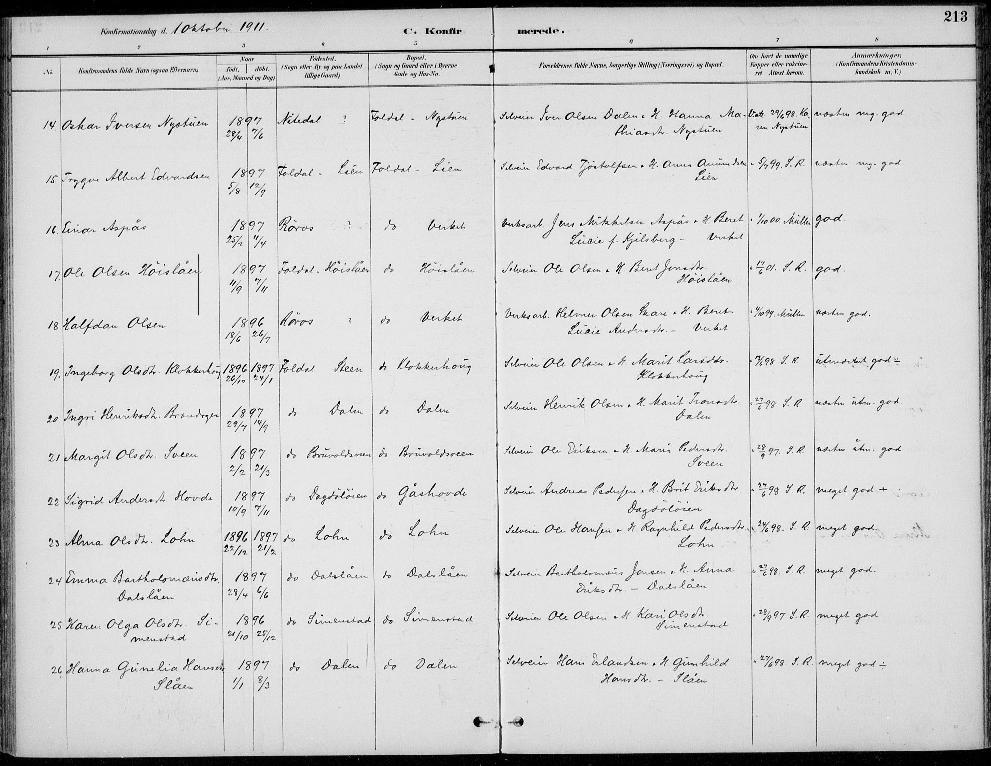 Alvdal prestekontor, AV/SAH-PREST-060/H/Ha/Haa/L0003: Parish register (official) no. 3, 1886-1912, p. 213