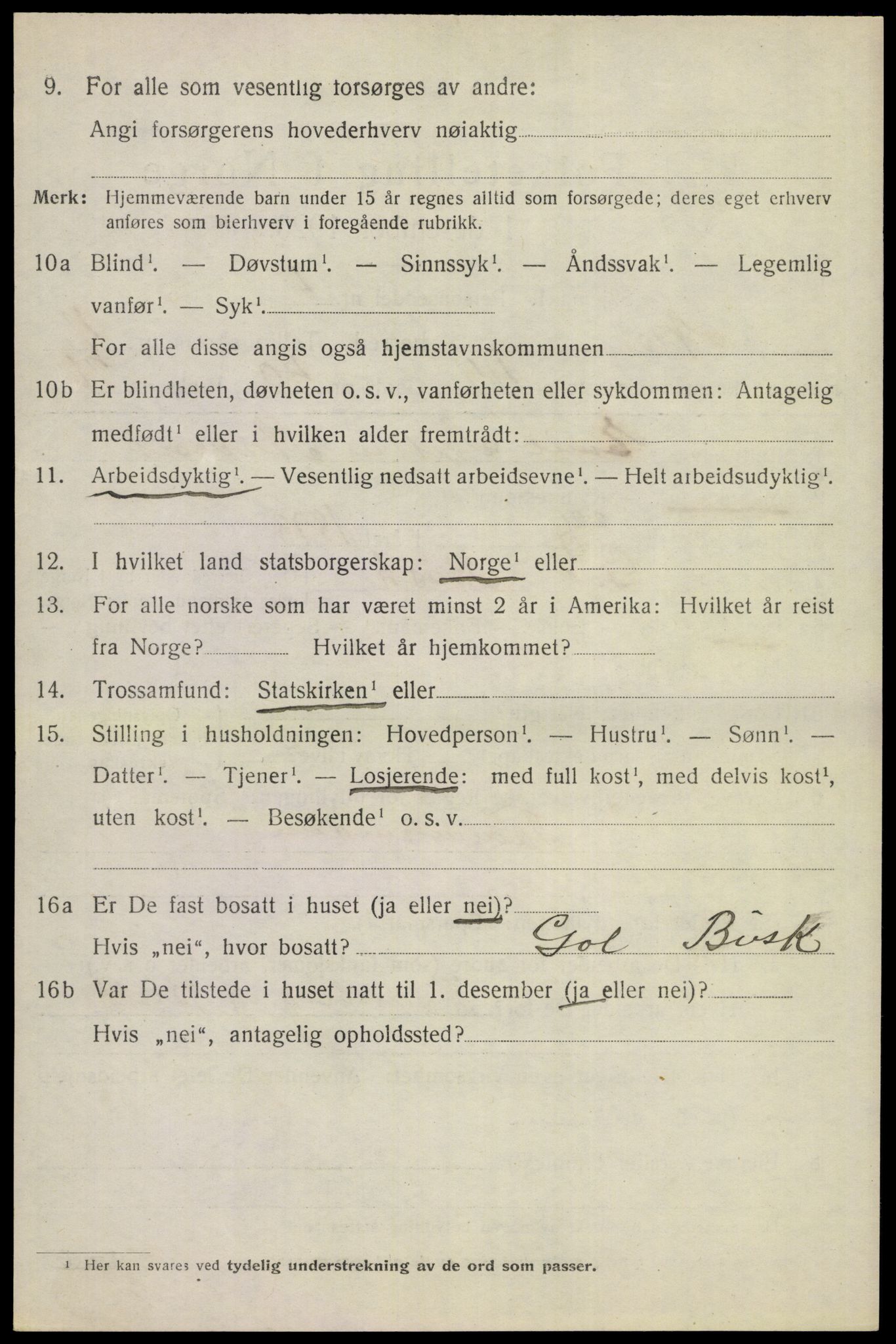 SAKO, 1920 census for Nes (Buskerud), 1920, p. 2495