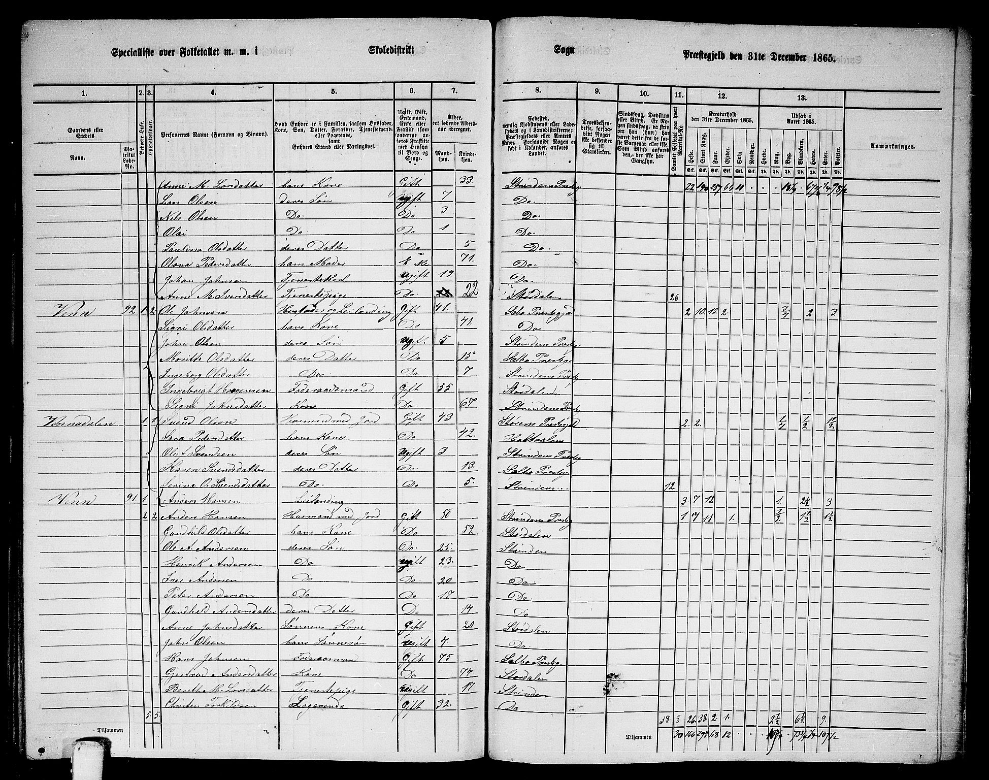 RA, 1865 census for Strinda, 1865, p. 261