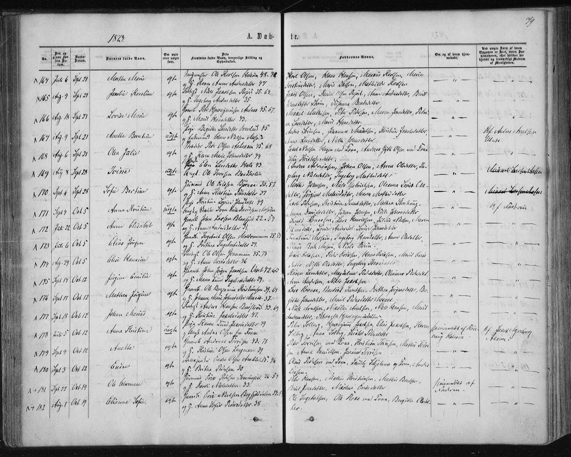 Ministerialprotokoller, klokkerbøker og fødselsregistre - Nordland, SAT/A-1459/820/L0294: Parish register (official) no. 820A15, 1866-1879, p. 79