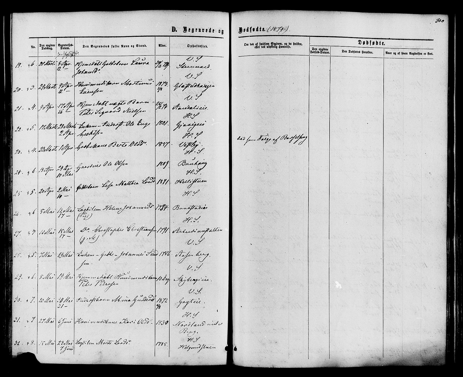 Vardal prestekontor, AV/SAH-PREST-100/H/Ha/Haa/L0007: Parish register (official) no. 7, 1867-1878, p. 300