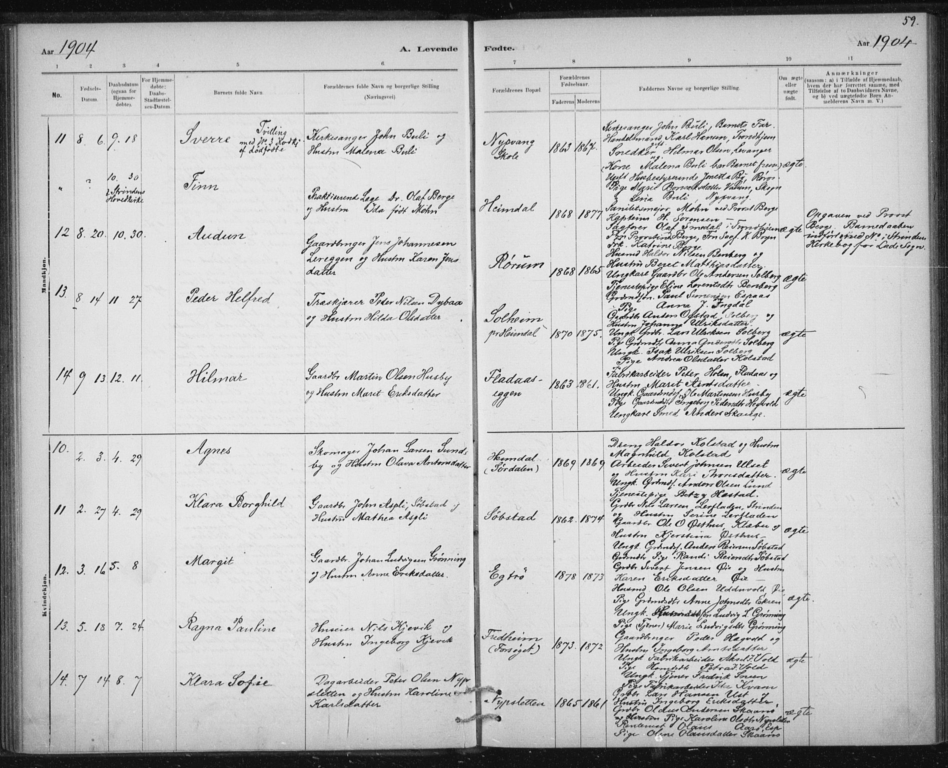 Ministerialprotokoller, klokkerbøker og fødselsregistre - Sør-Trøndelag, SAT/A-1456/613/L0392: Parish register (official) no. 613A01, 1887-1906, p. 59