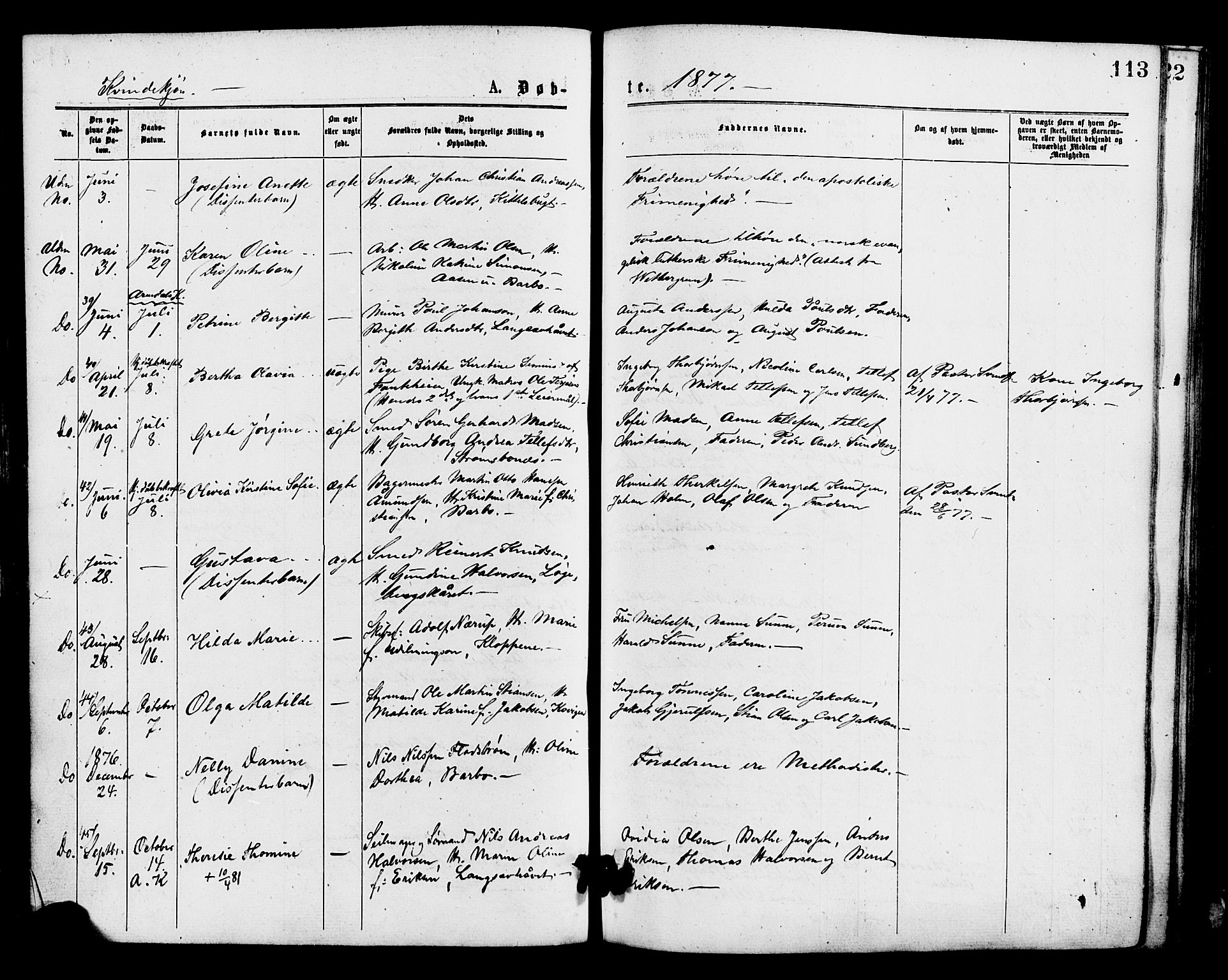 Barbu sokneprestkontor, AV/SAK-1111-0003/F/Fa/L0001: Parish register (official) no. A 1 /2, 1877-1877, p. 113