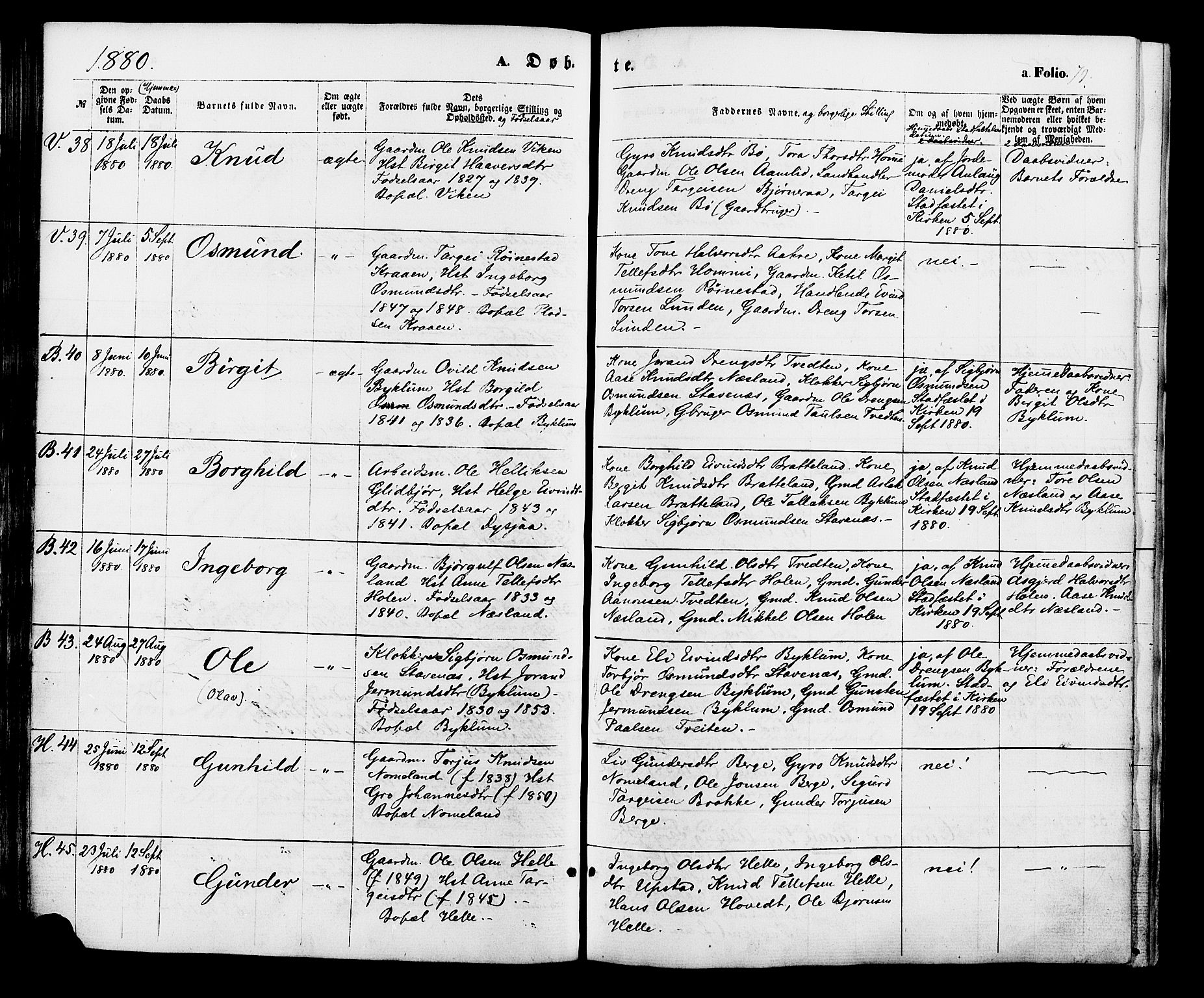 Valle sokneprestkontor, AV/SAK-1111-0044/F/Fa/Fac/L0008: Parish register (official) no. A 8, 1868-1882, p. 79