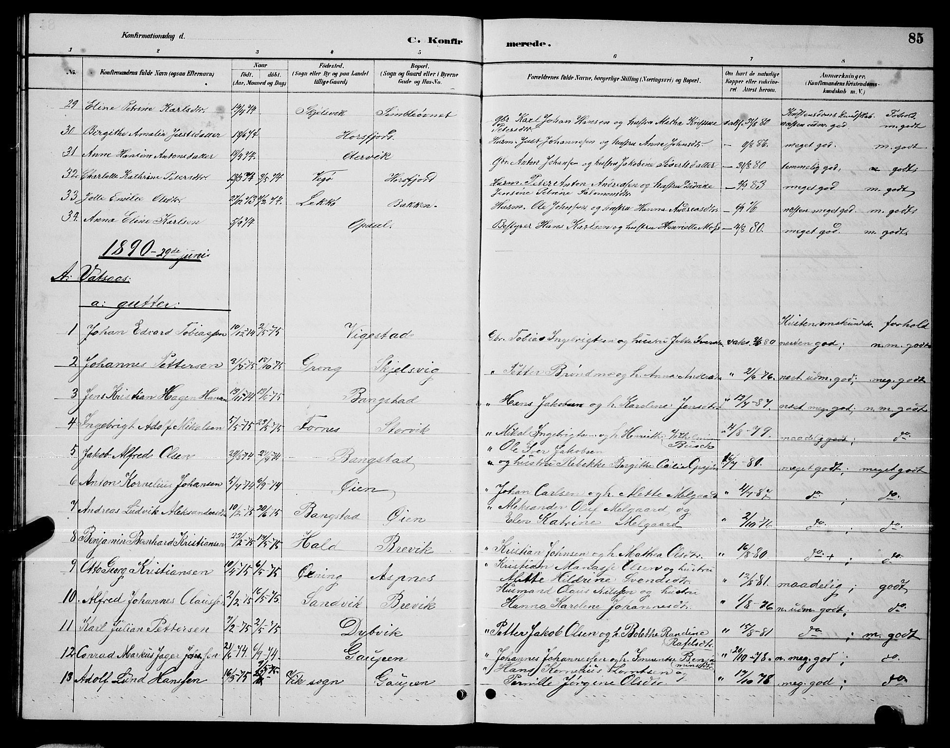 Ministerialprotokoller, klokkerbøker og fødselsregistre - Nordland, SAT/A-1459/810/L0160: Parish register (copy) no. 810C03, 1884-1896, p. 85