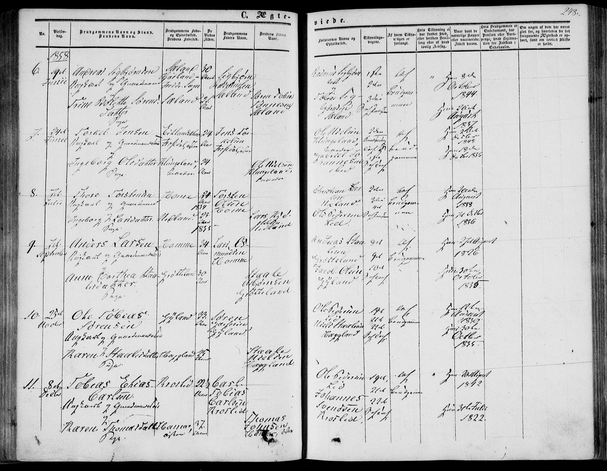 Bakke sokneprestkontor, AV/SAK-1111-0002/F/Fa/Fab/L0002: Parish register (official) no. A 2, 1855-1884, p. 248