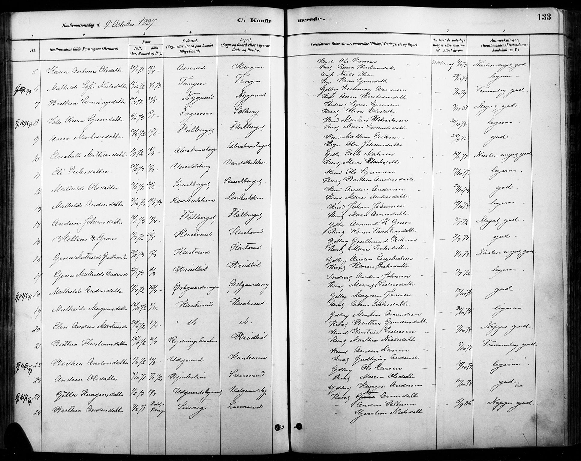 Vinger prestekontor, AV/SAH-PREST-024/H/Ha/Haa/L0015: Parish register (official) no. 15, 1881-1900, p. 133