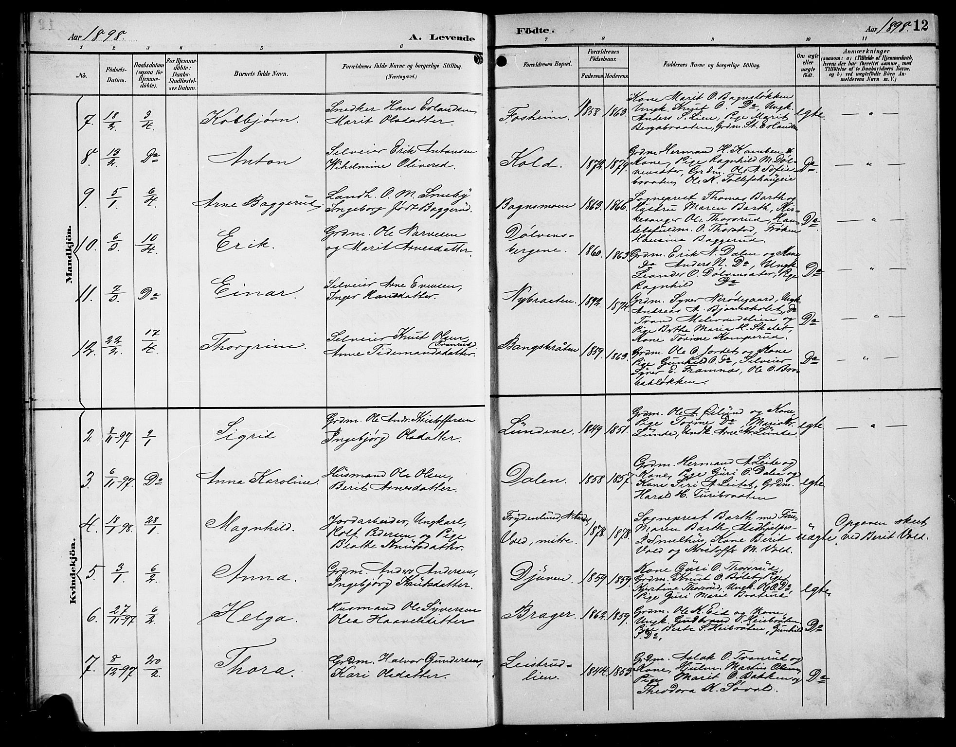 Sør-Aurdal prestekontor, SAH/PREST-128/H/Ha/Hab/L0009: Parish register (copy) no. 9, 1894-1924, p. 12