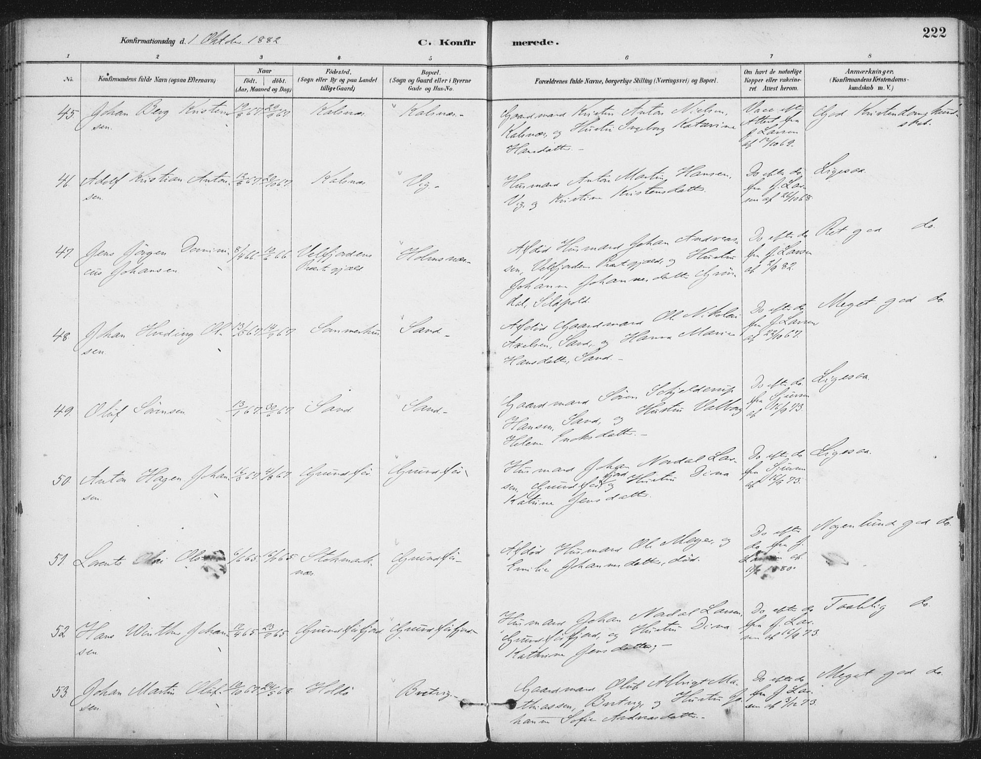 Ministerialprotokoller, klokkerbøker og fødselsregistre - Nordland, AV/SAT-A-1459/888/L1244: Parish register (official) no. 888A10, 1880-1890, p. 222