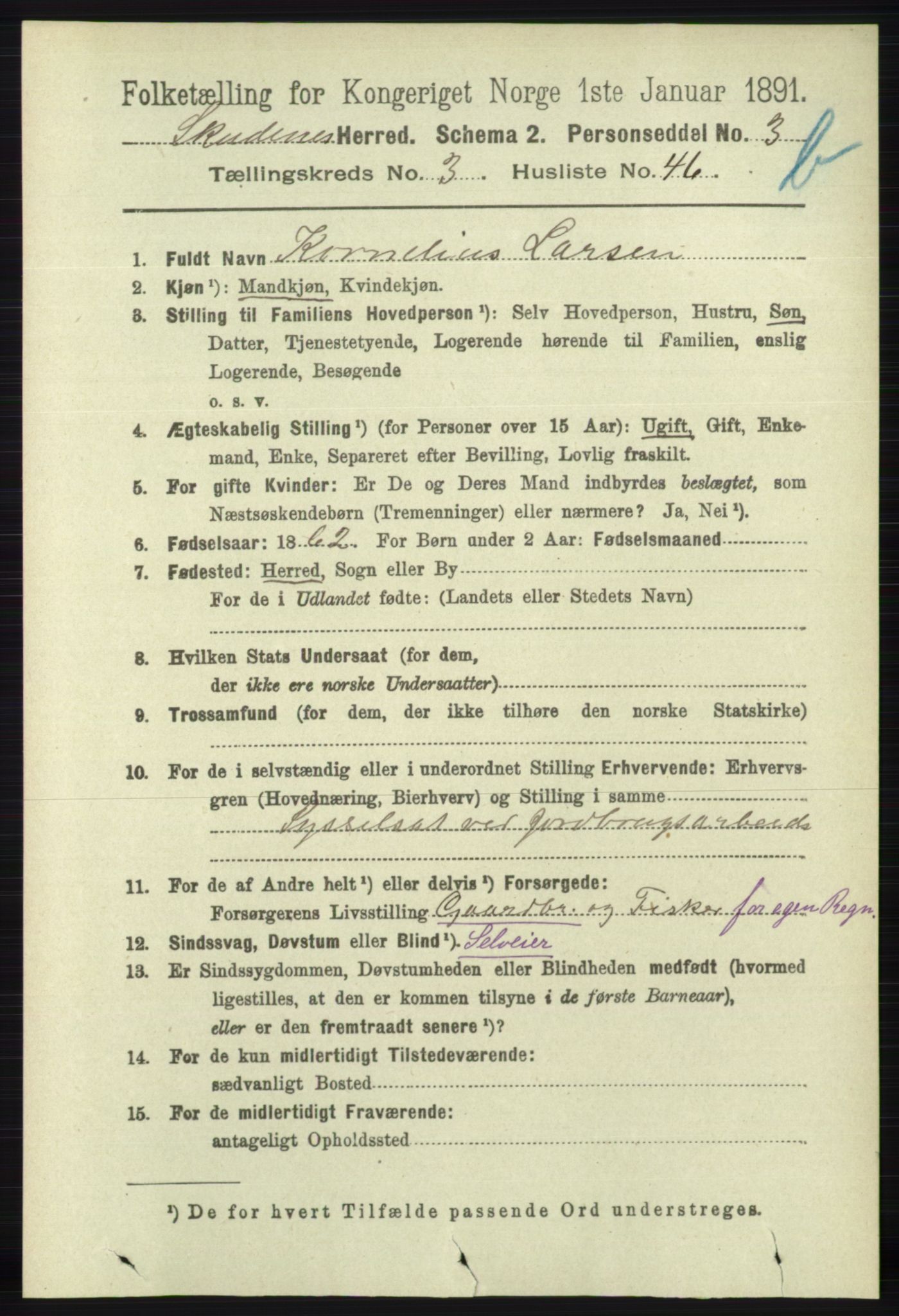 RA, 1891 census for 1150 Skudenes, 1891, p. 4238