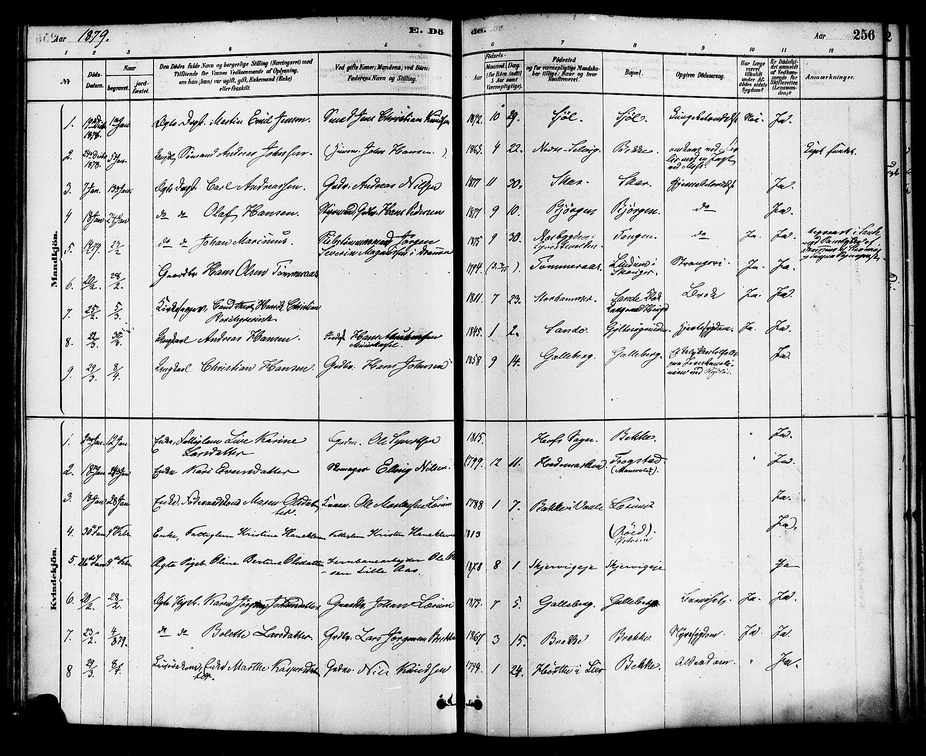 Sande Kirkebøker, AV/SAKO-A-53/F/Fa/L0006: Parish register (official) no. 6, 1878-1888, p. 256