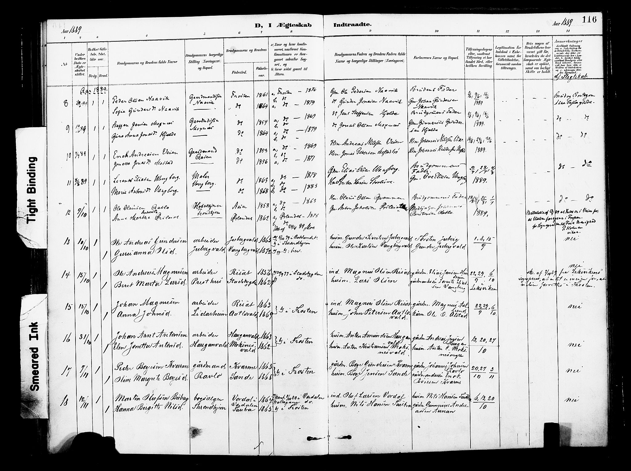 Ministerialprotokoller, klokkerbøker og fødselsregistre - Nord-Trøndelag, SAT/A-1458/713/L0121: Parish register (official) no. 713A10, 1888-1898, p. 116